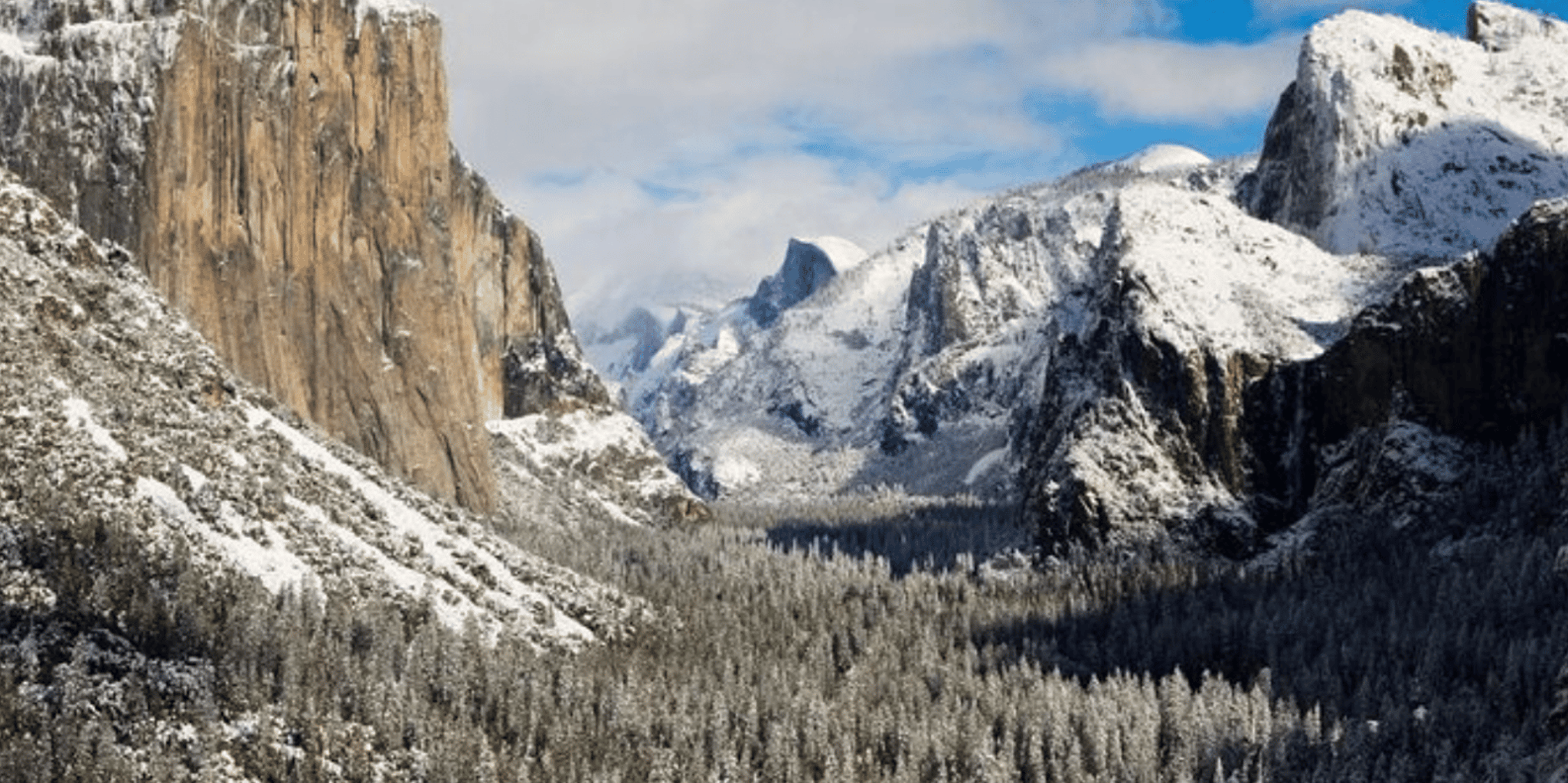 San Jose Yosemite National Park Tour - Image 5