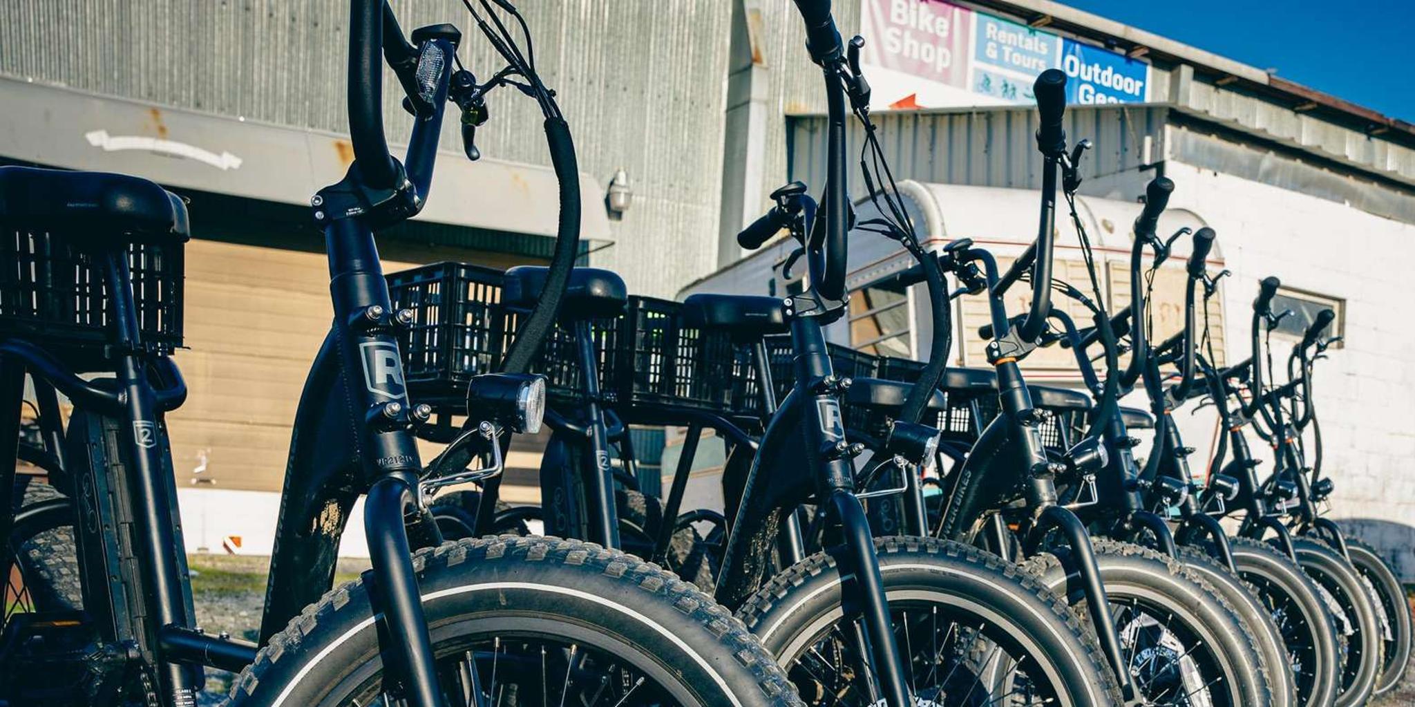 Roanoke Electric Bike Rental - Image 3