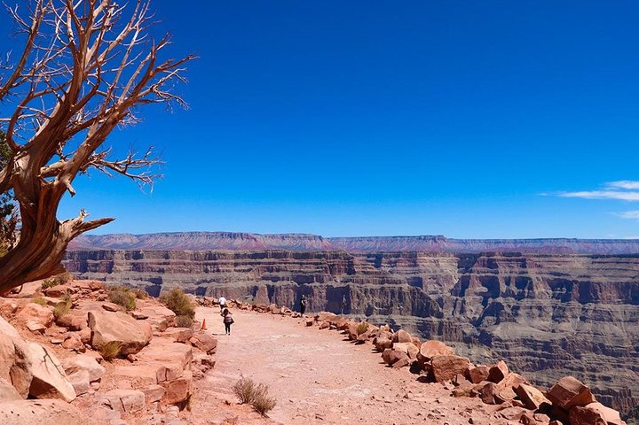 Las Vegas Grand Canyon West Private Tour - Image 6