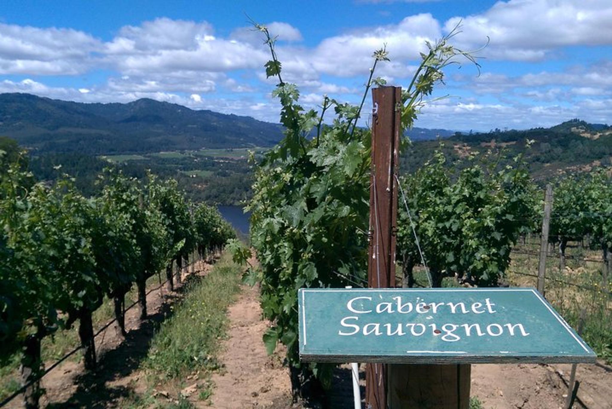 Napa Wine Tour in Private Limousine 6 hr - Image 6