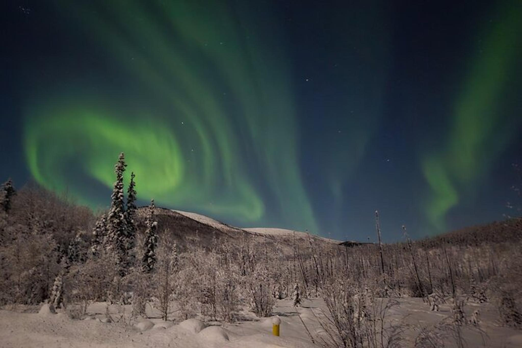Fairbanks Aurora Chasing Experience - Image 3
