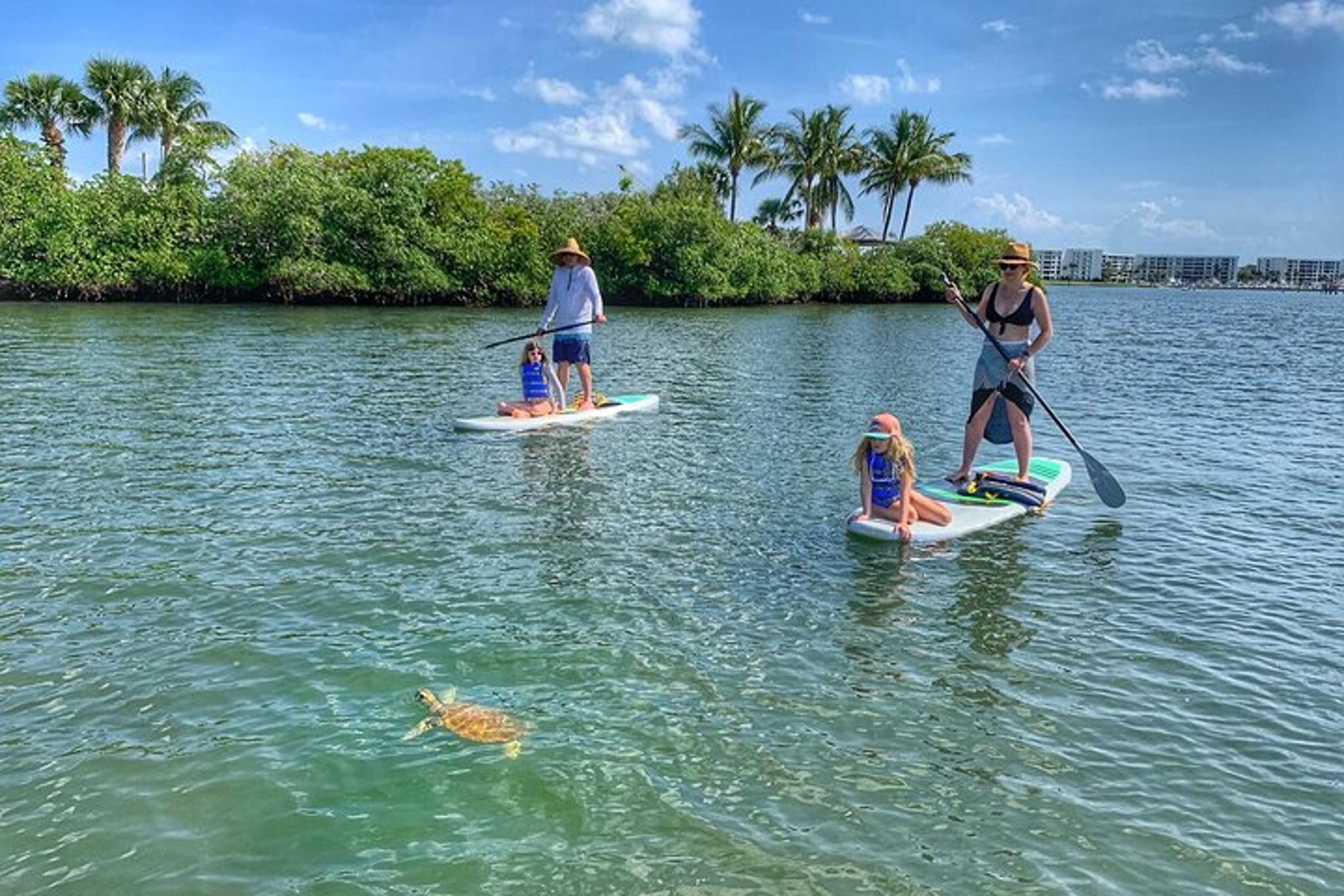 Jupiter Paddle Boarding Eco Adventure - Image 2