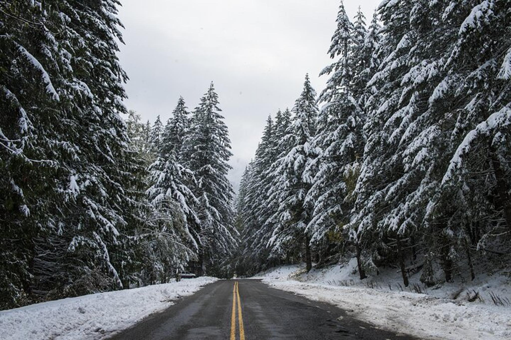 Olympic National Park Self-Guided Audio Tour - Image 5
