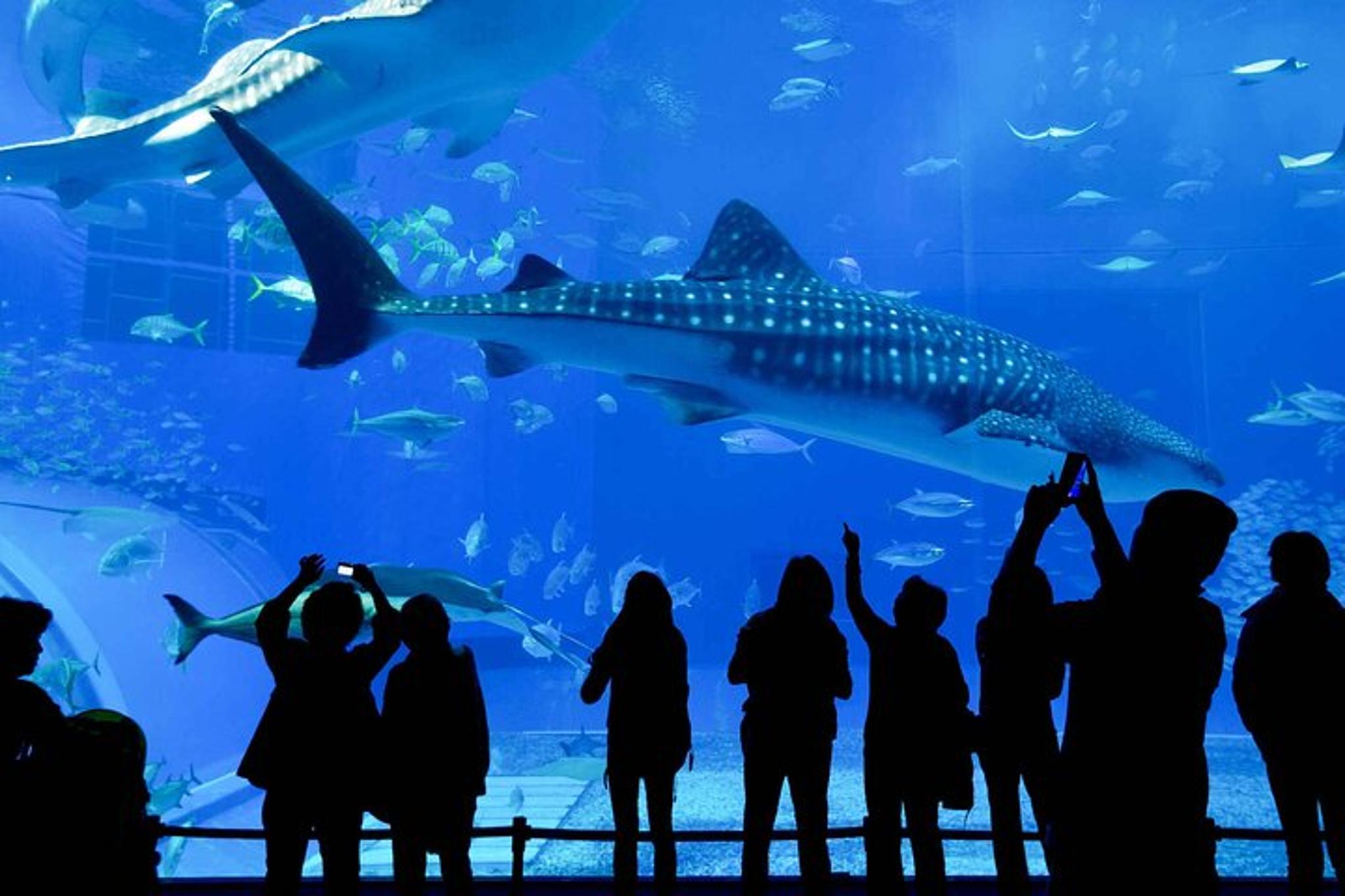 Long Beach Self-Guided Audio Tour - Image 3