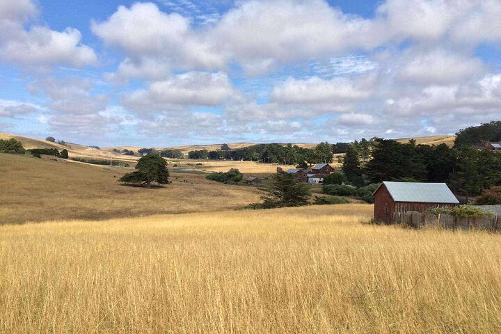 Point Reyes Agricultural Self-Guided Driving Tour - Image 6