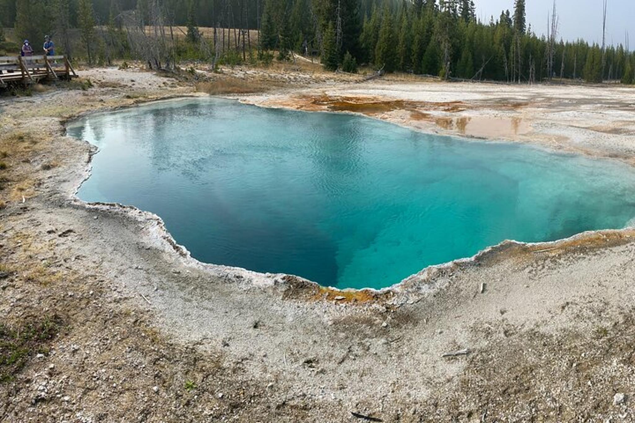 Yellowstone Private Small-Group Tour with Lunch - Image 6