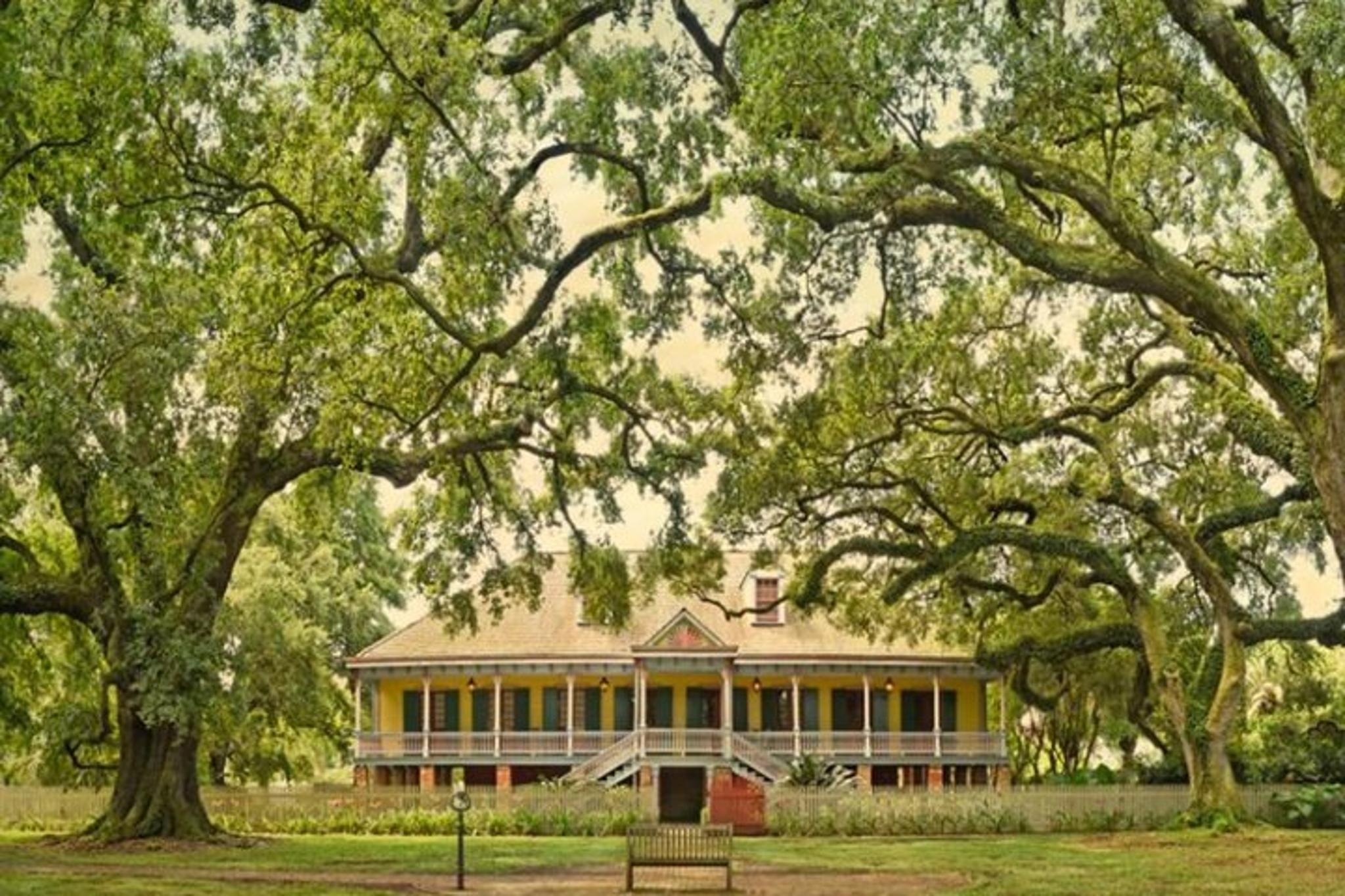 New Orleans Airboat and Plantations Tour with Lunch - Image 4