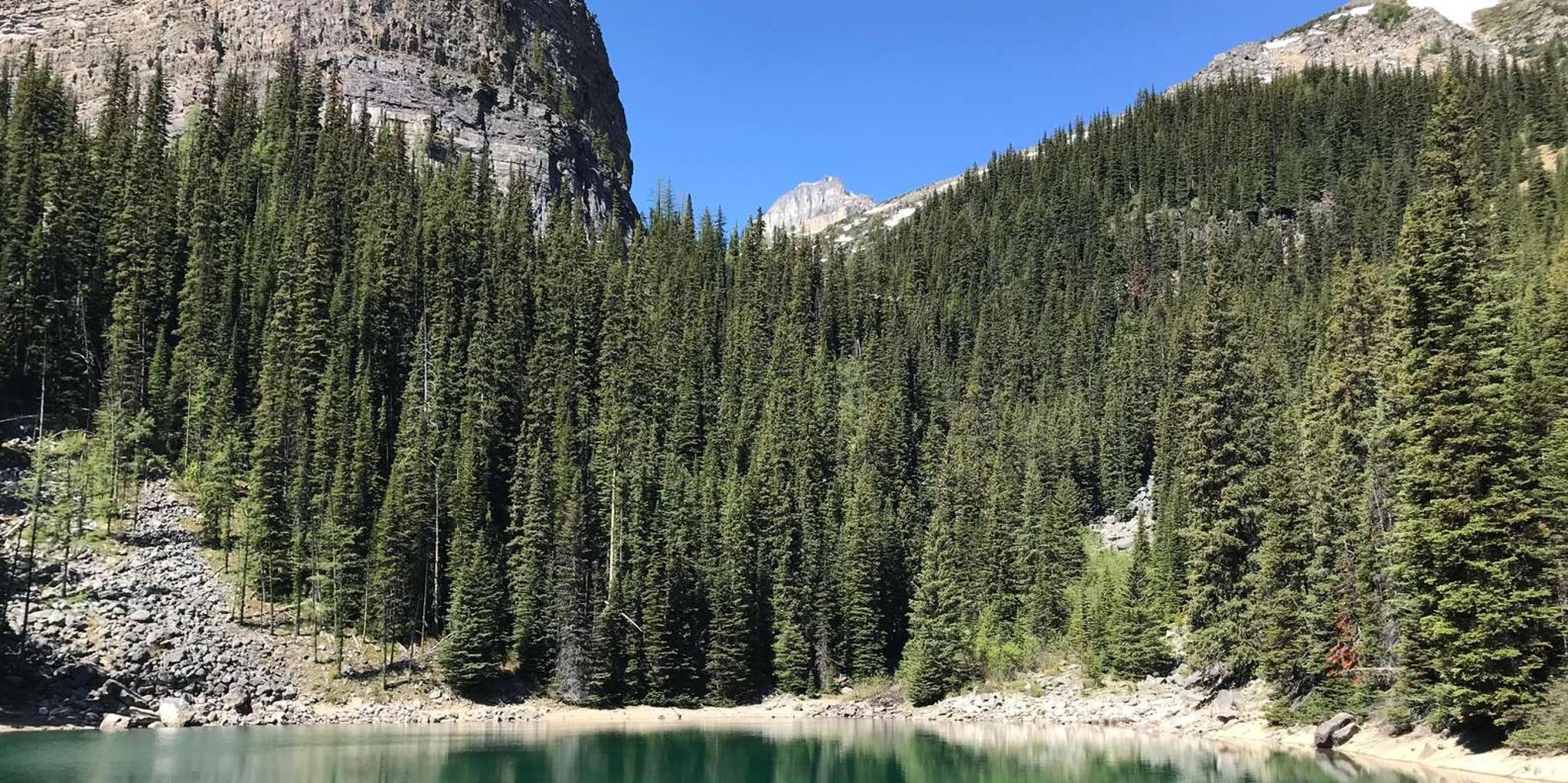 Seattle Canadian Rockies 7-Day Tour - Image 2