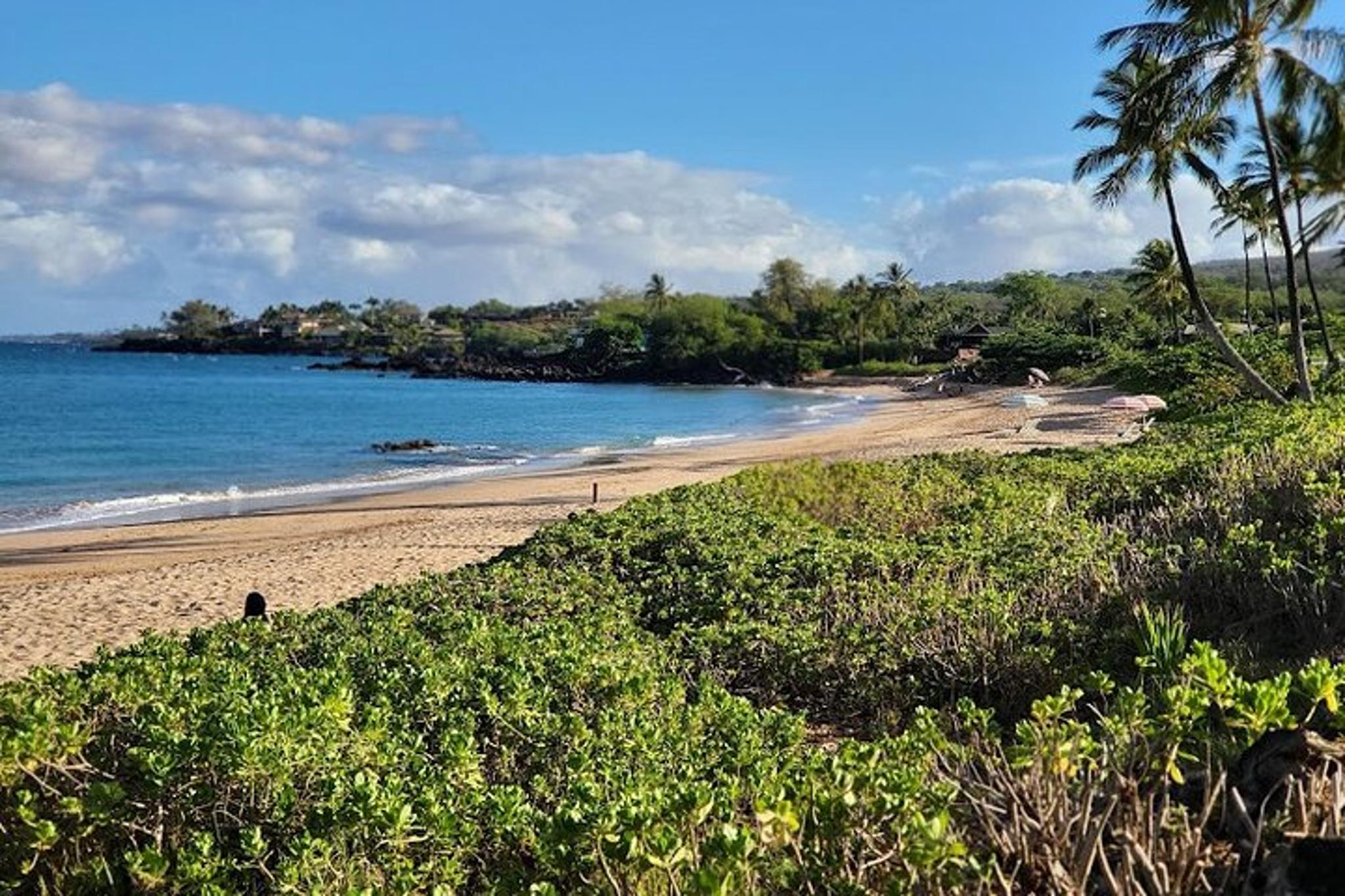 Kahului Snorkeling and Underwater Scooter Tour - Image 3
