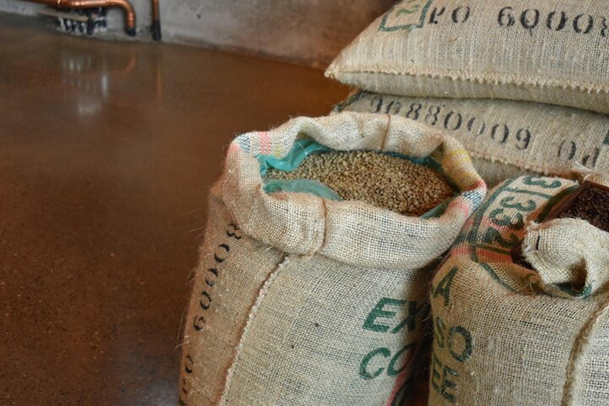 Seattle Coffee Crawl Tour - Image 5