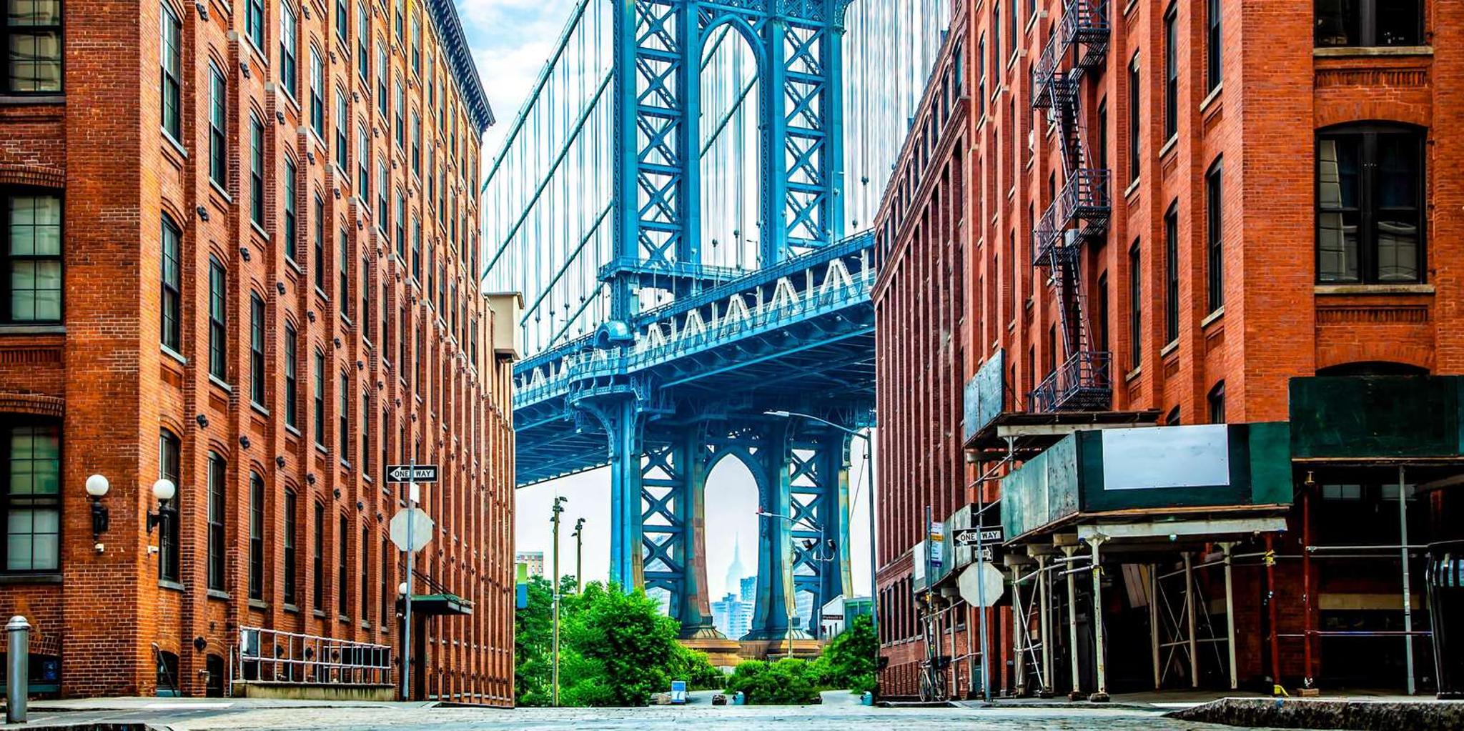 New York DUMBO Food and Culture Tour 2 hr - Image 3