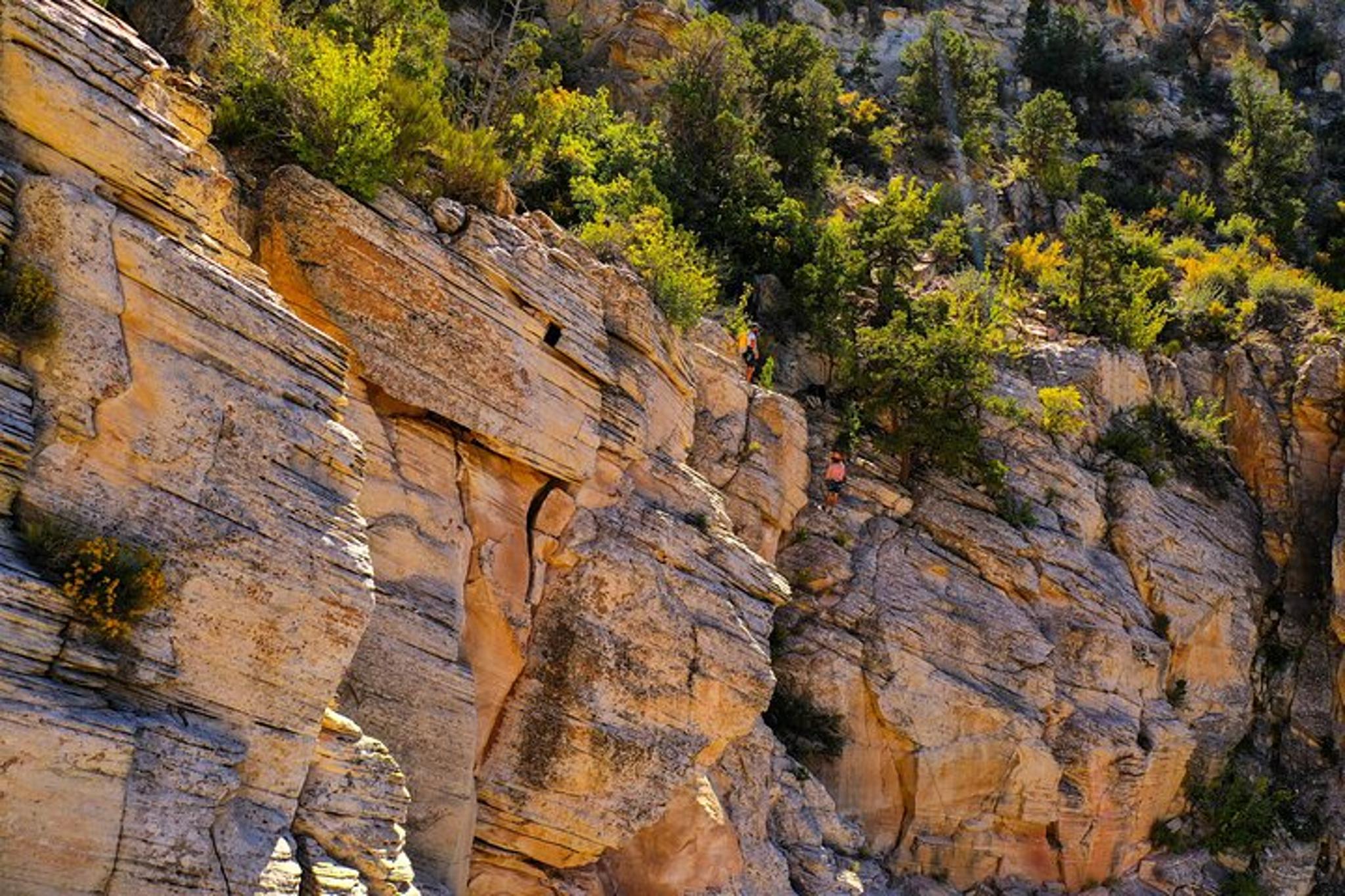 Utah Via Ferrata and Rappelling Adventure - Image 3