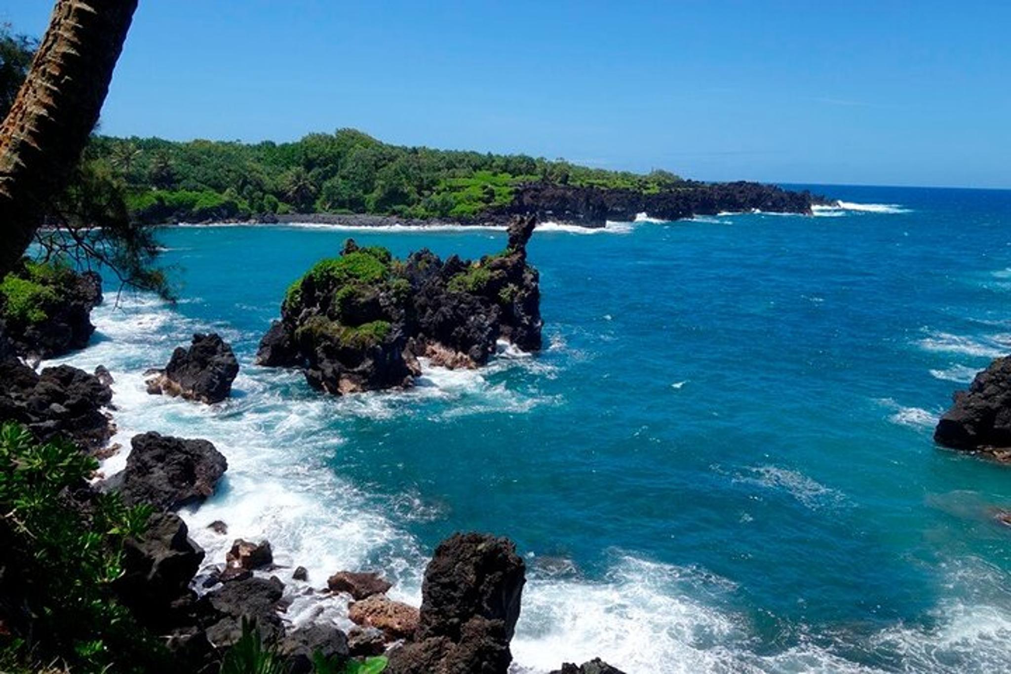 Maui Road to Hana Rainforest Tour with Lunch