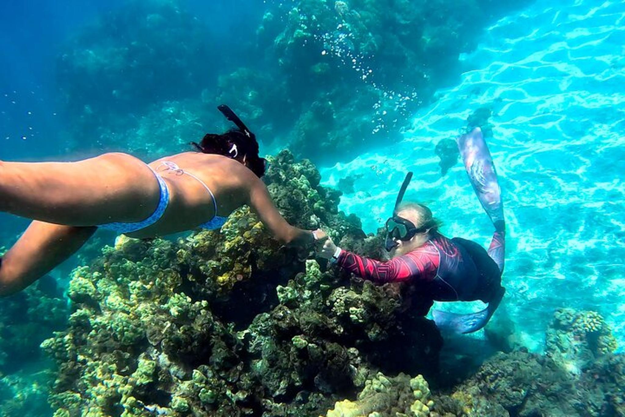 Olowalu Snorkeling Tour for Beginners - Image 4