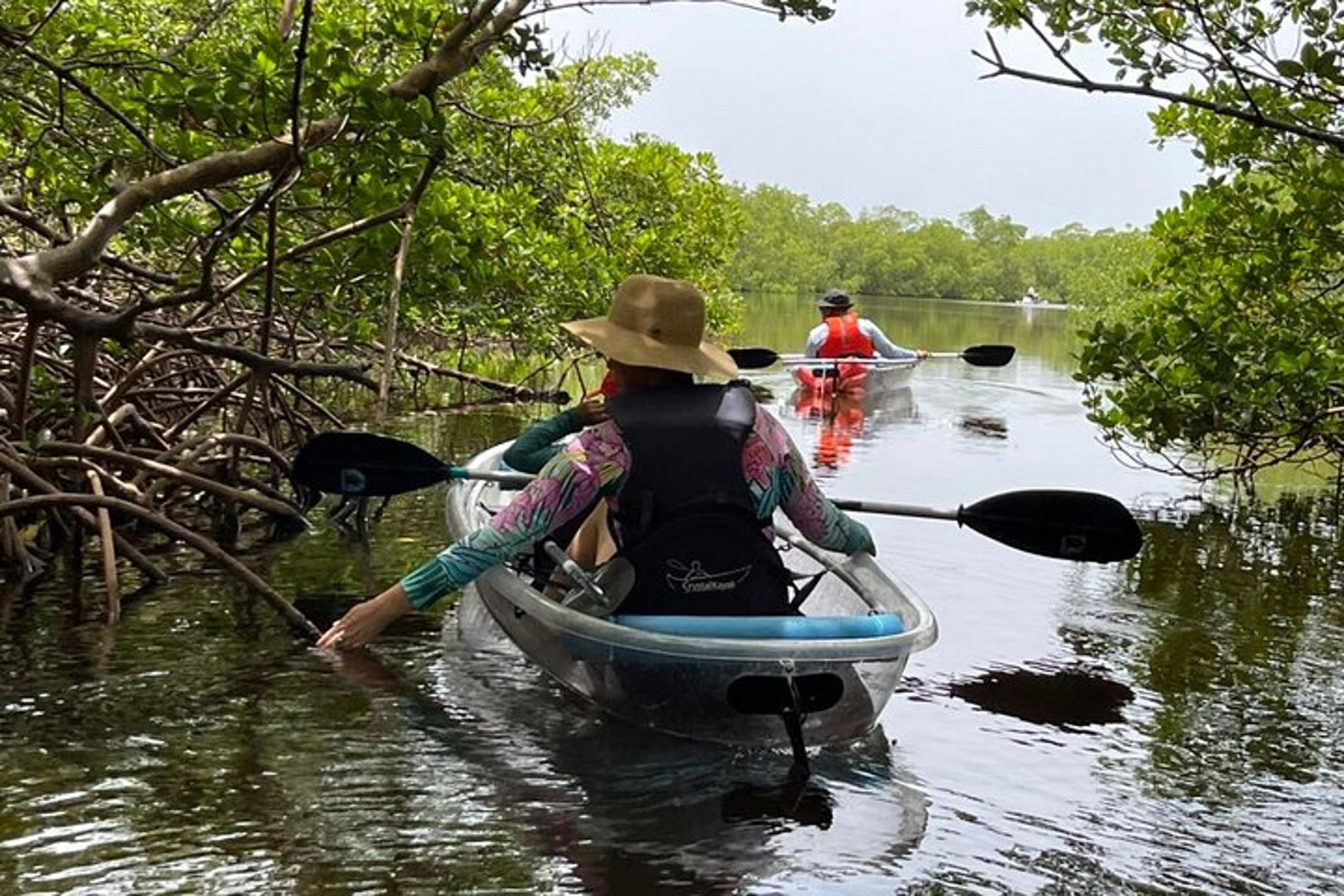 Bonita Springs Self-Guided Island Kayak and SUP Tour