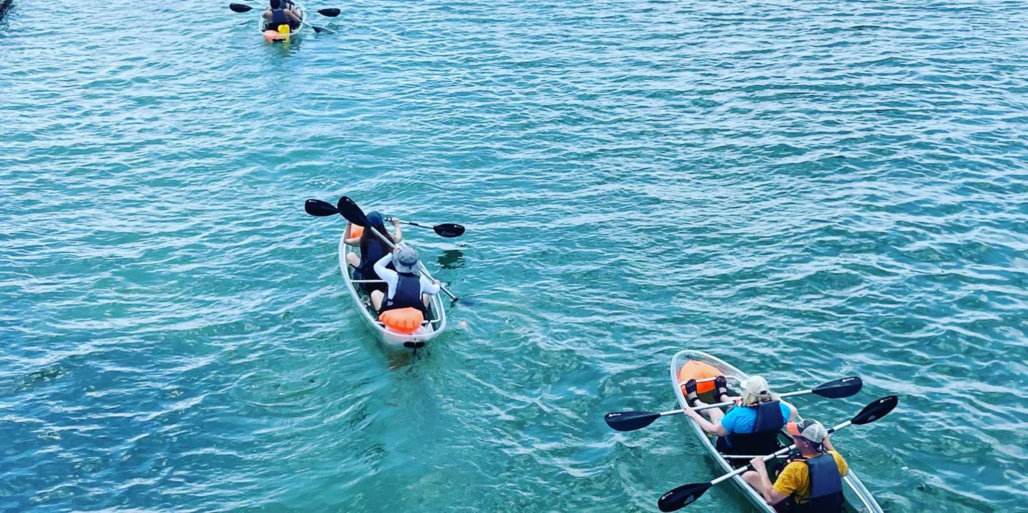 Clearwater Clear Kayak Tour - Image 4