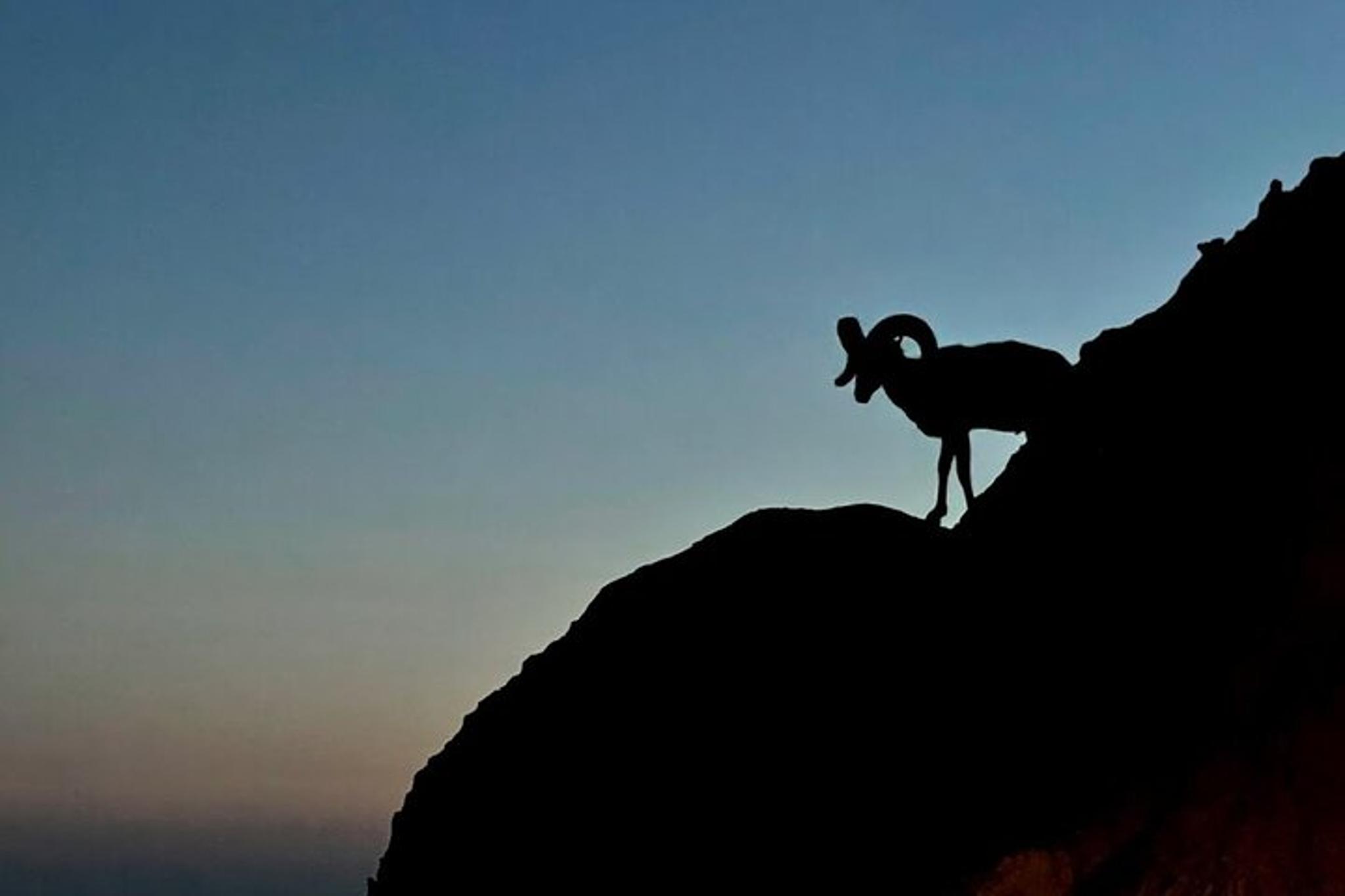 Black Hills & Badlands Tour 3-Day - Image 3