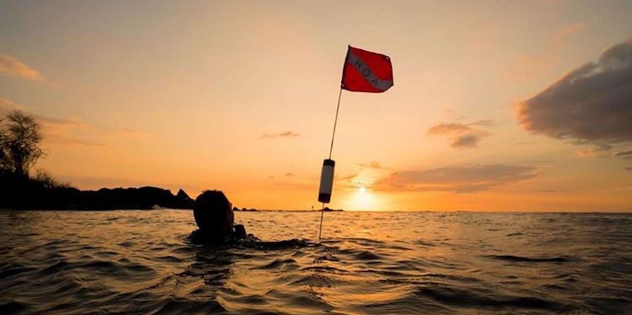 Hilo Night Dive for Certified Divers - Image 2