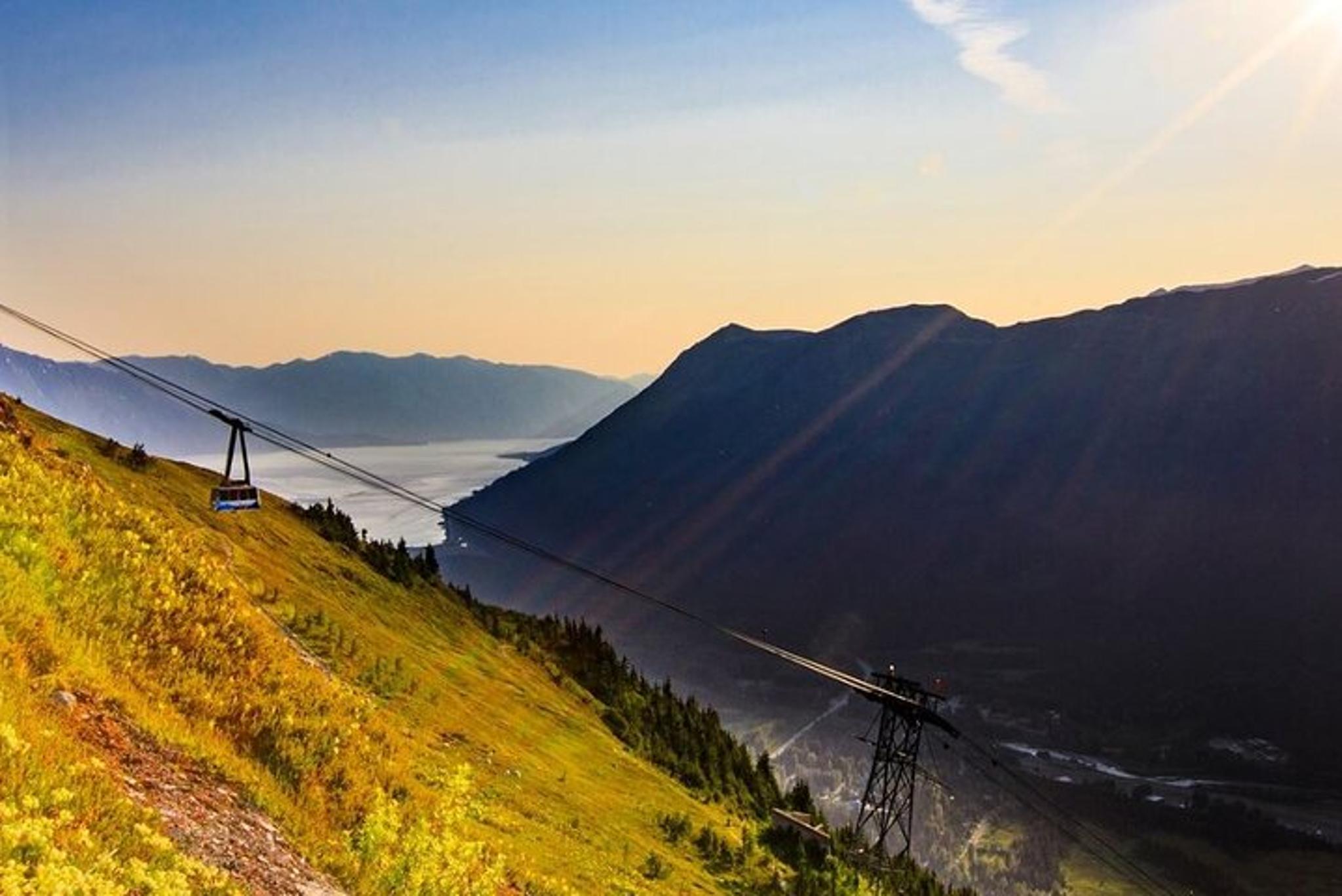 Anchorage Wildlife Center and Turnagain Arm Tour - Image 3