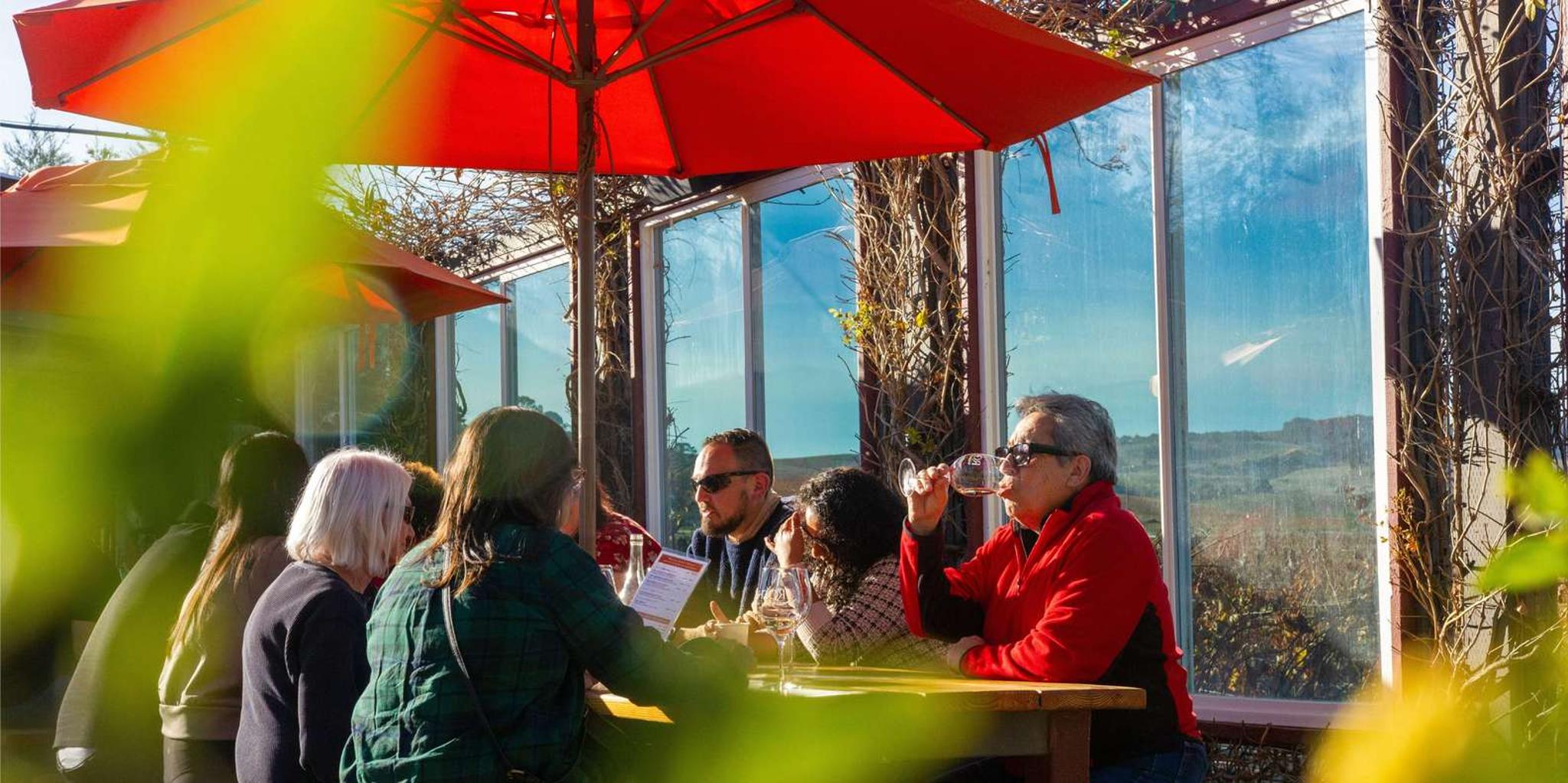 San Francisco Napa and Sonoma Wine Tour