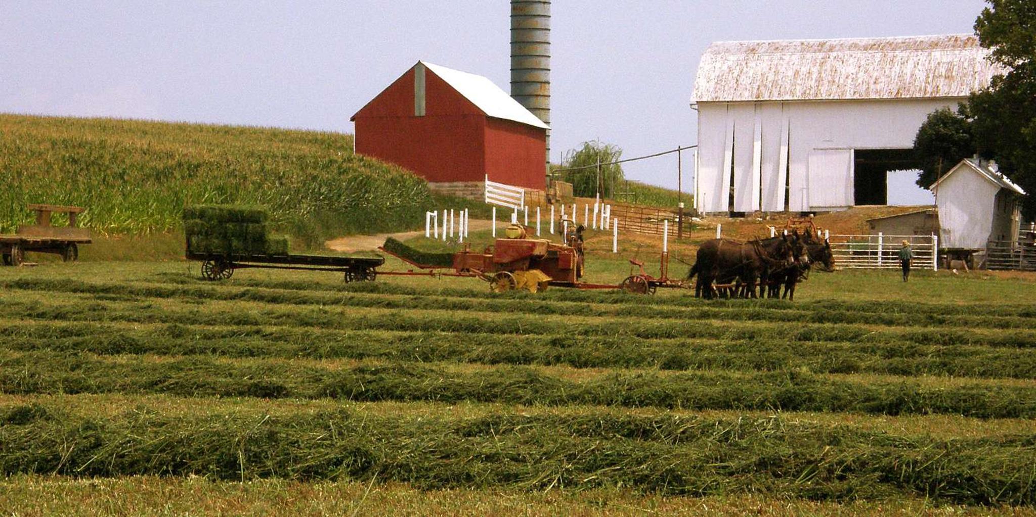 Lancaster Amish Farmlands Tour