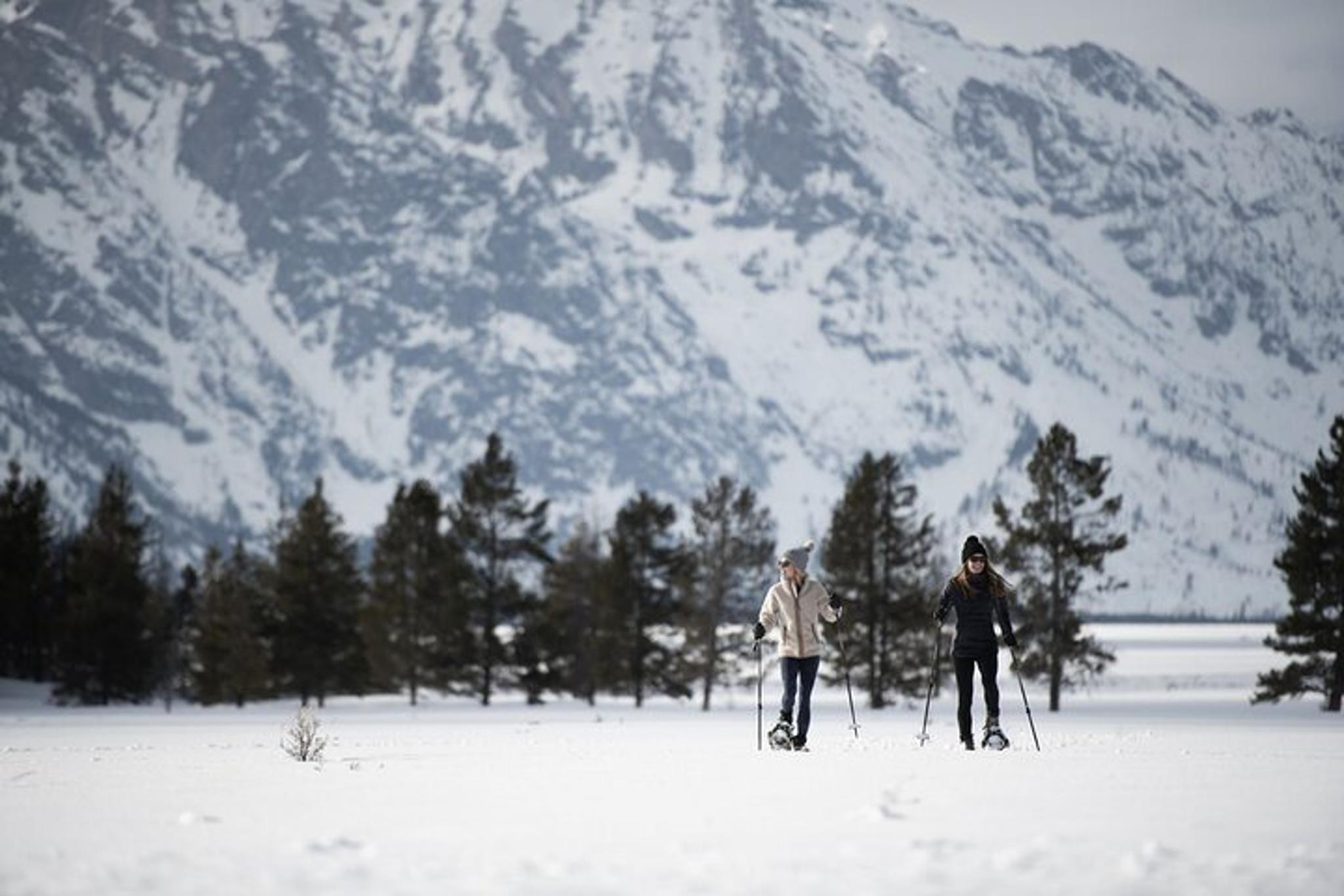 Jackson Snowshoe Tour in Grand Teton National Park 4 hr - Image 3