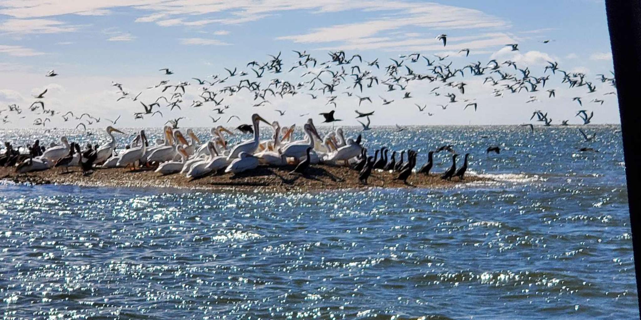 Miami Everglades Tour with Boat Trip and Hikes - Image 3