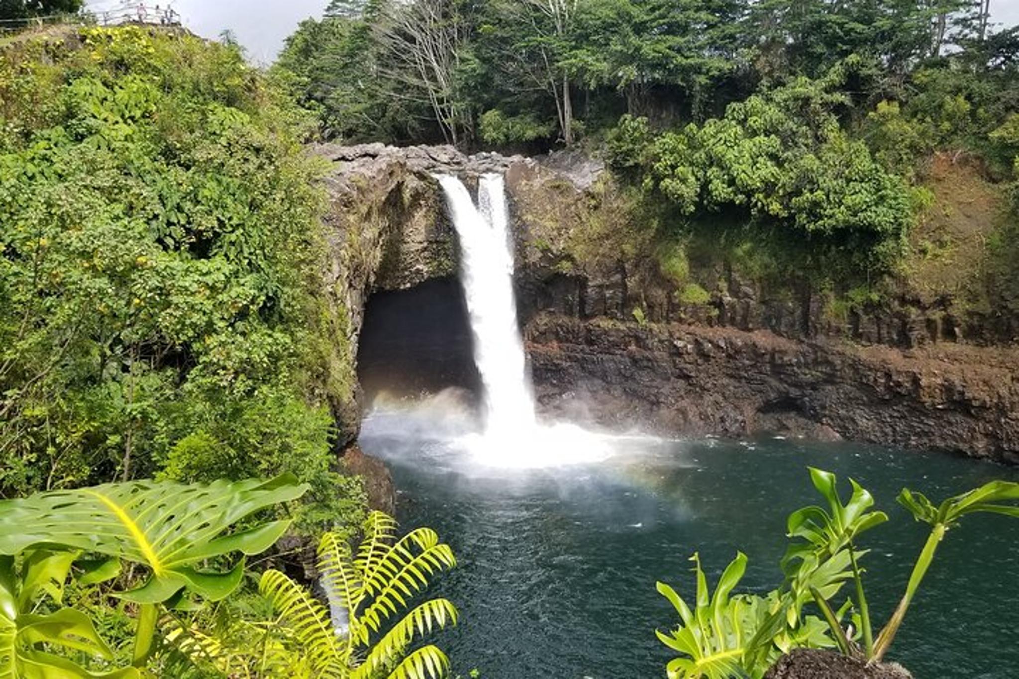 Hawaii Volcano Tour - Image 6