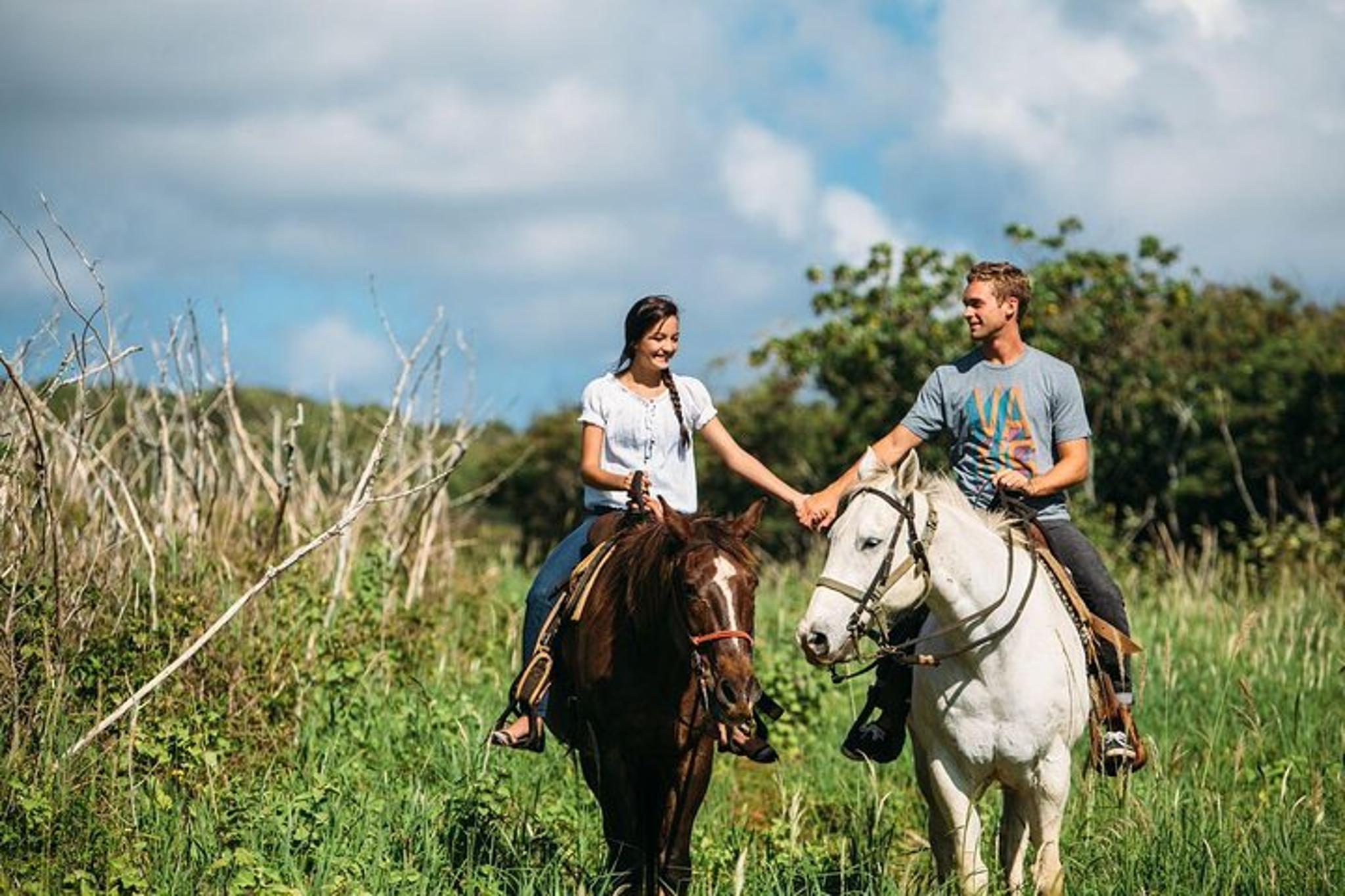 Oahu Horseback Ride with Private Picnic 2 hr - Image 2
