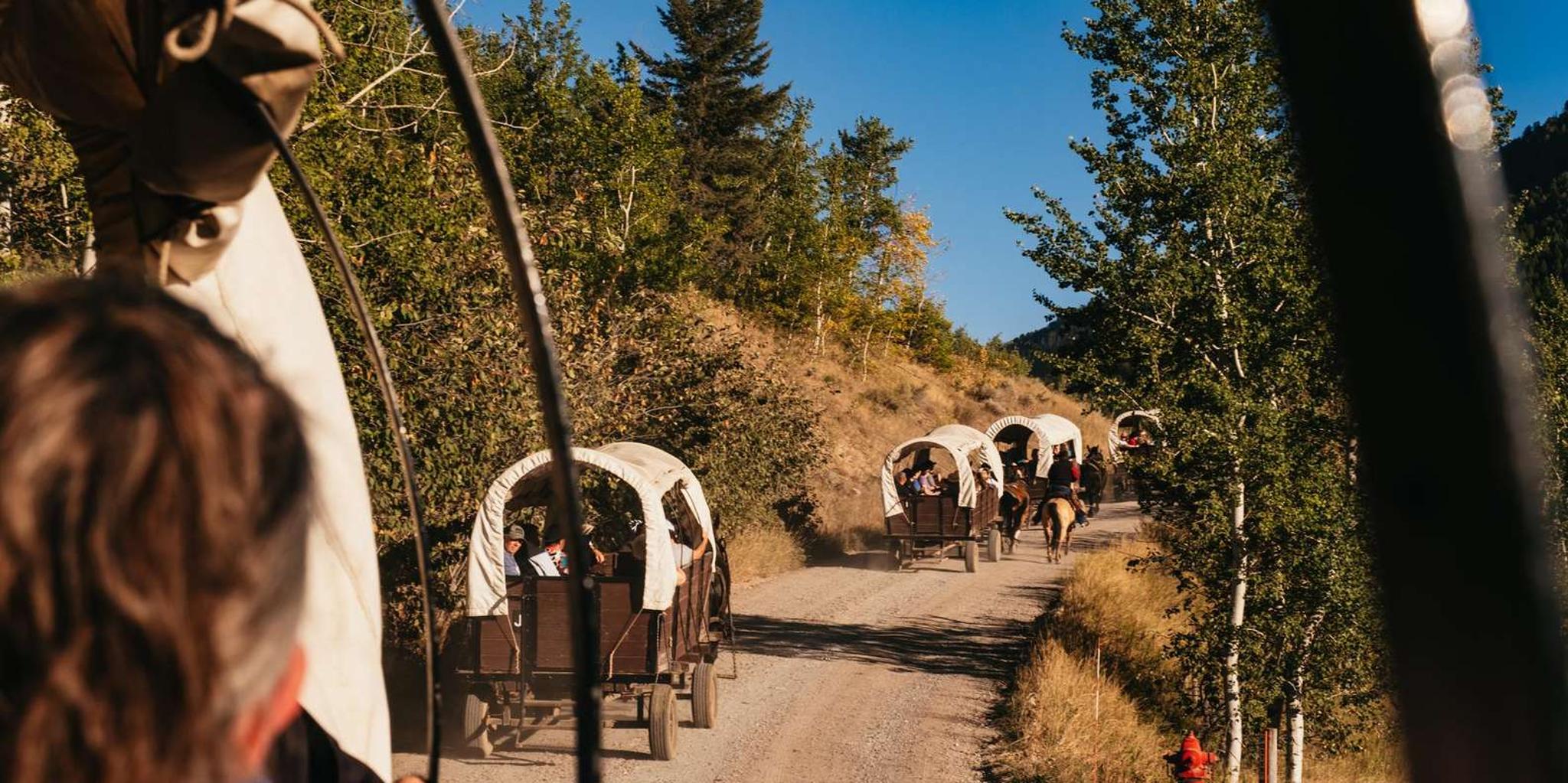 Jackson Chuck Wagon Cookout and Live Show - Image 1