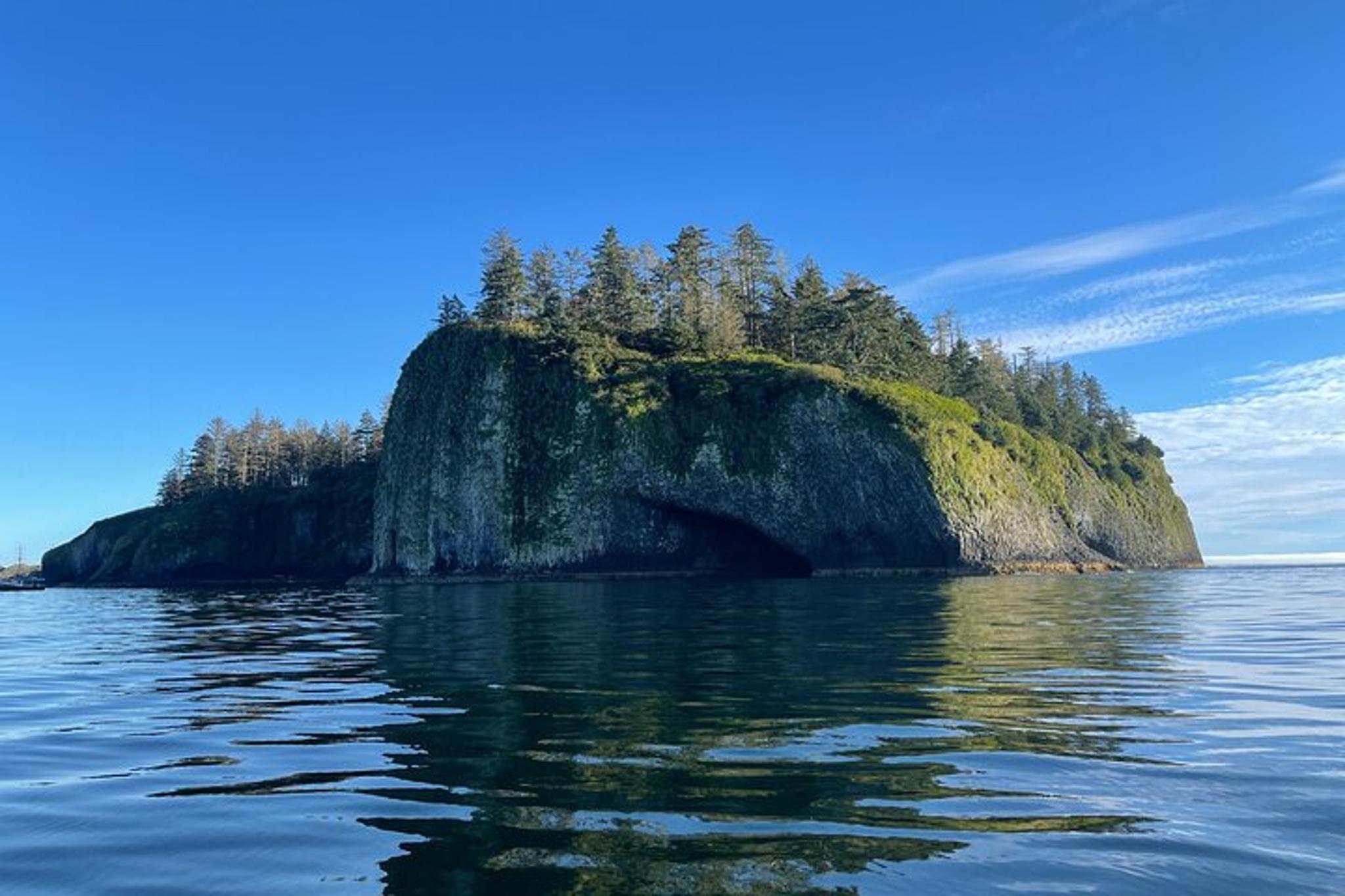 Sitka Wildlife Boat Tour - Image 2