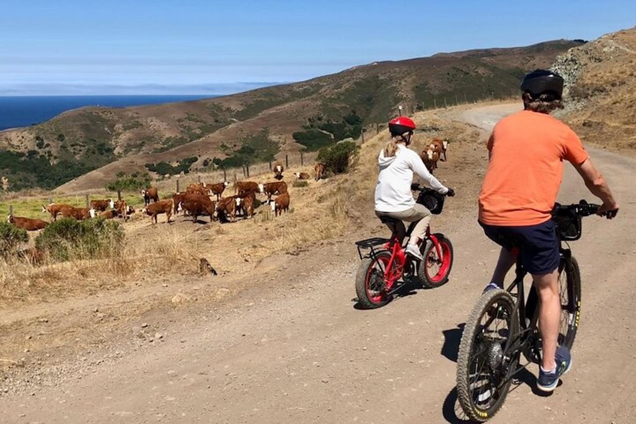 Big Sur eBike Tour on Old Coast Road - Image 4