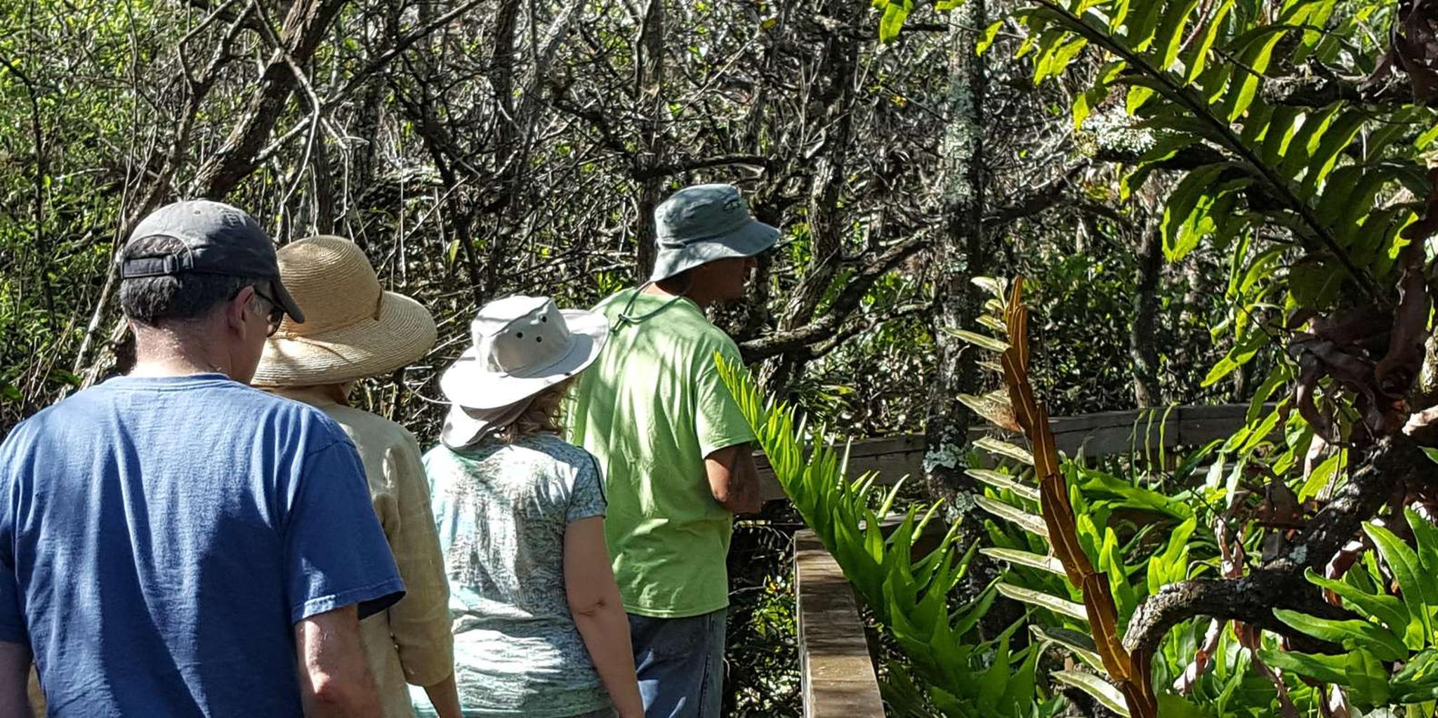 Miami Everglades Tour with Boat Trip and Hikes - Image 4