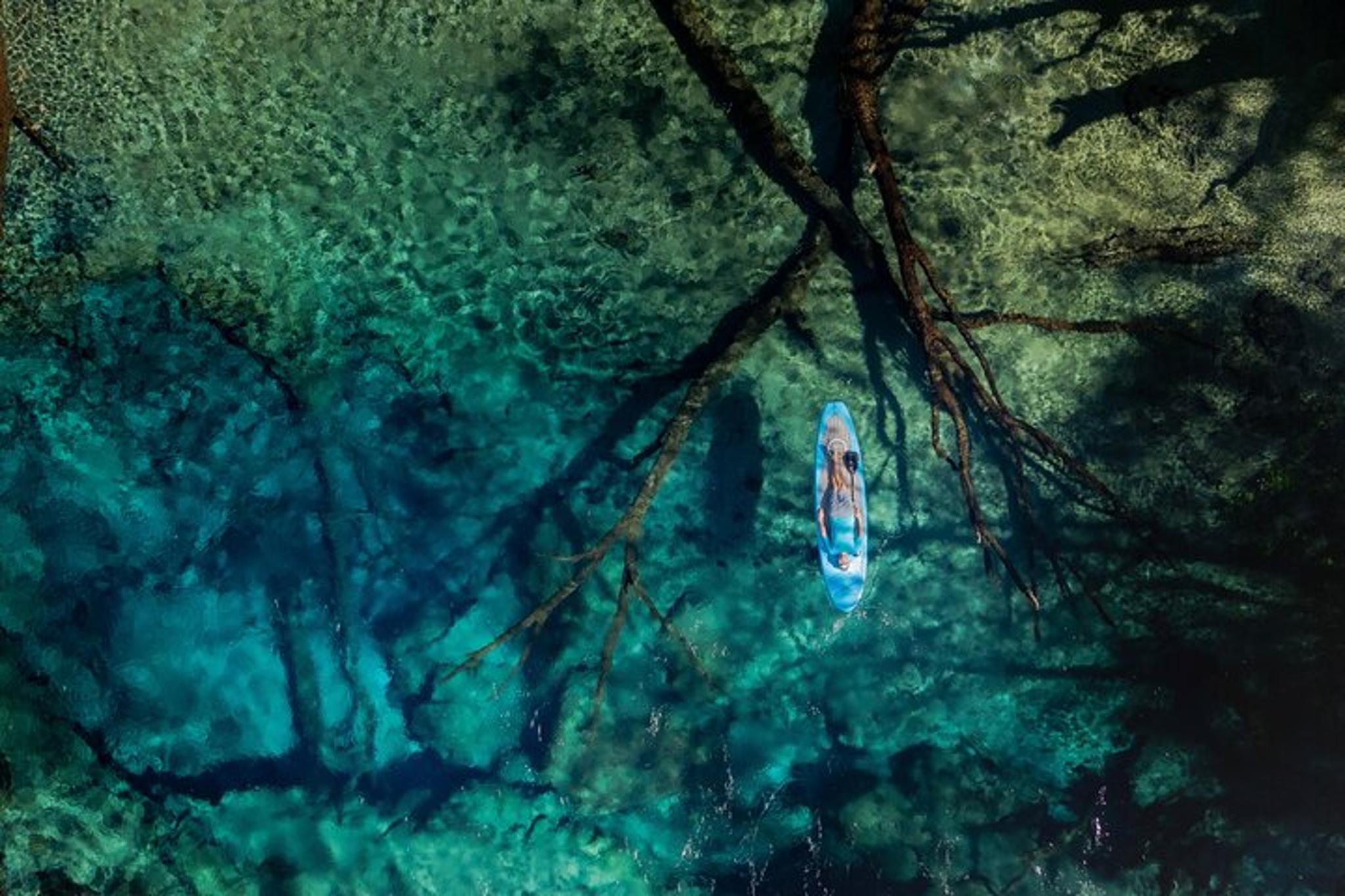 Destin Cypress Springs Eco Adventure - Image 1