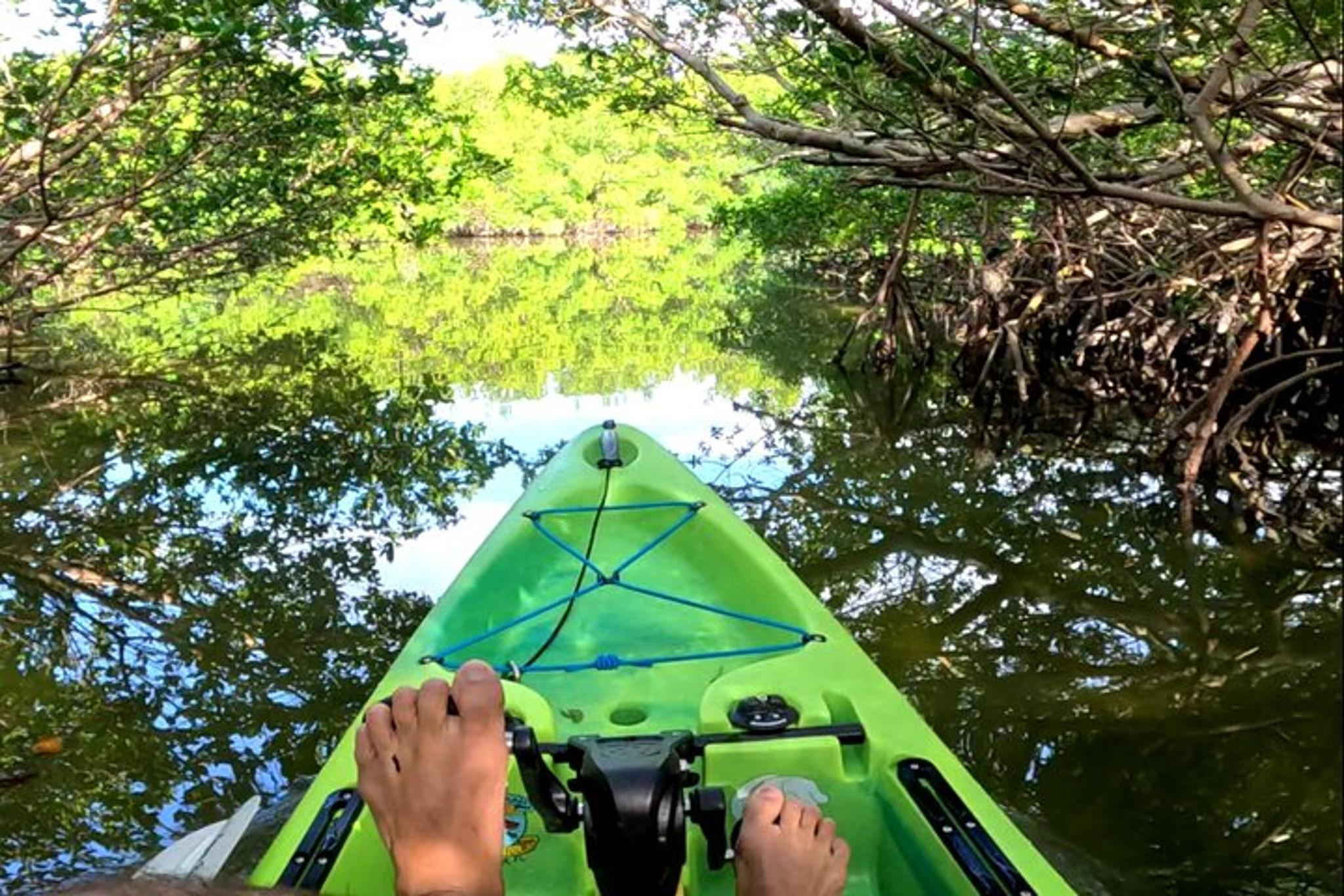 Bradenton Pedal Kayak Mangrove Tunnel Tour