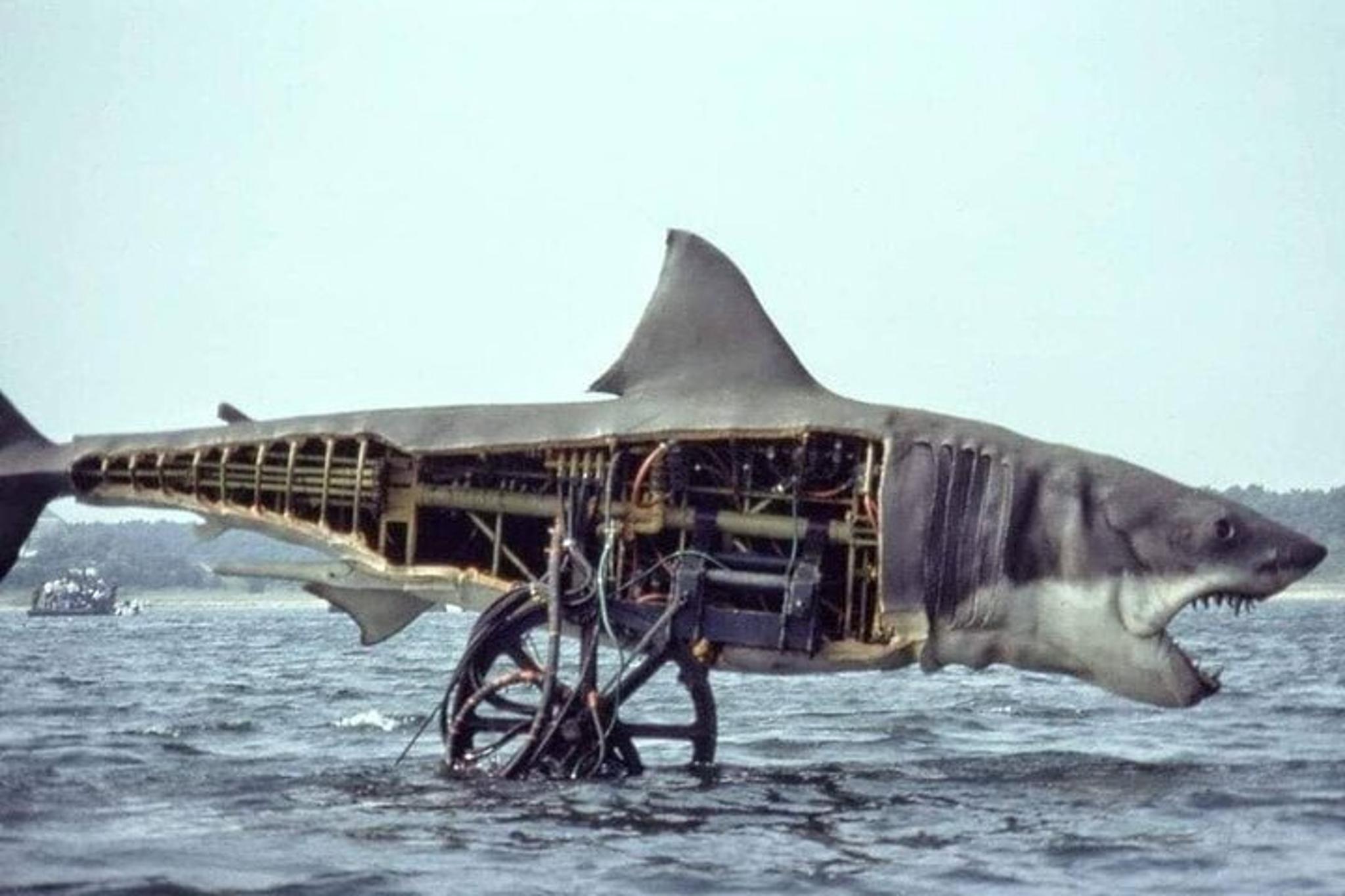 Jaws Movie Tour in Martha's Vineyard 4 hr - Image 4