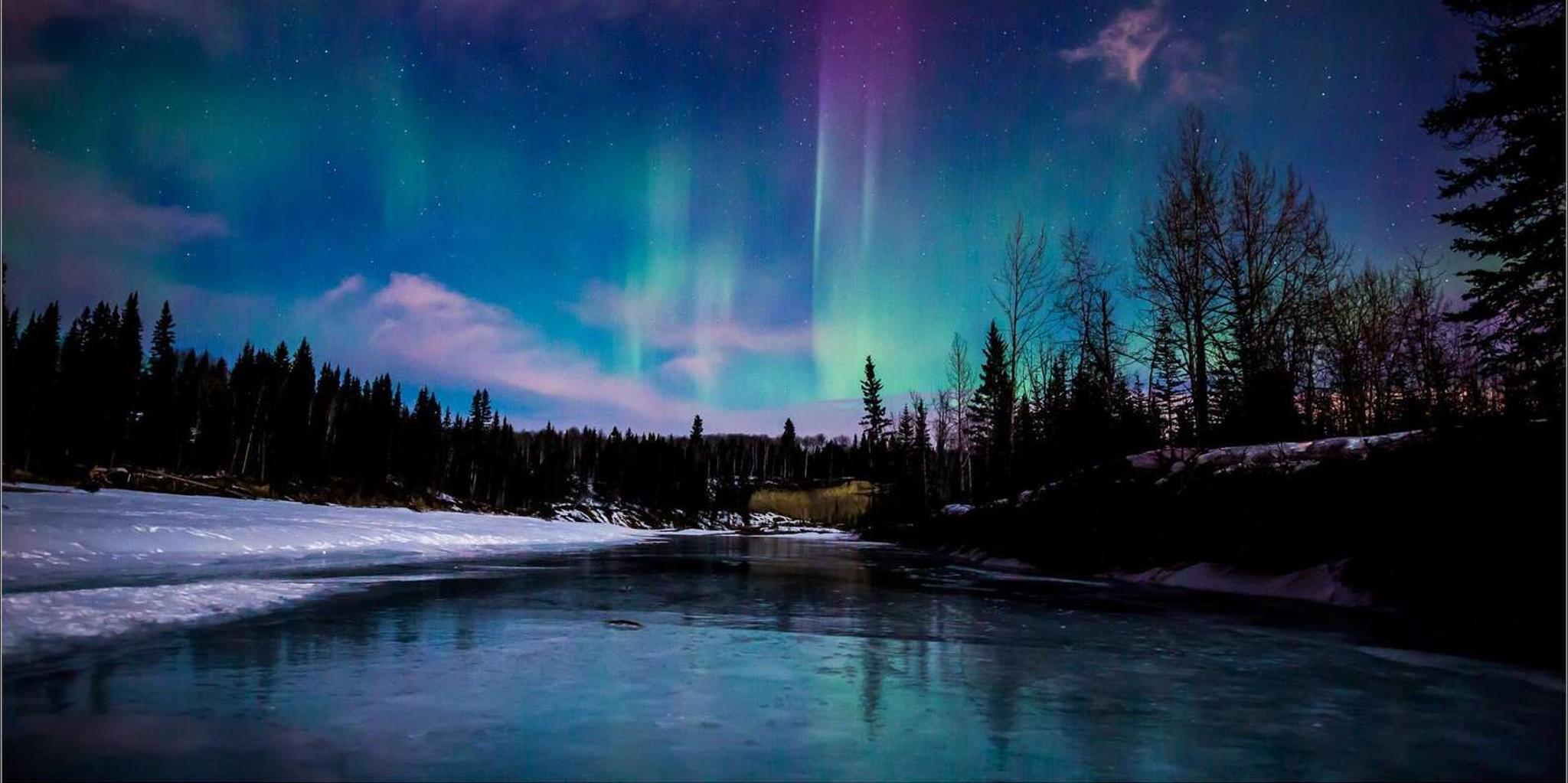 Fairbanks Northern Lights and Chena Hot Springs Tour - Image 3