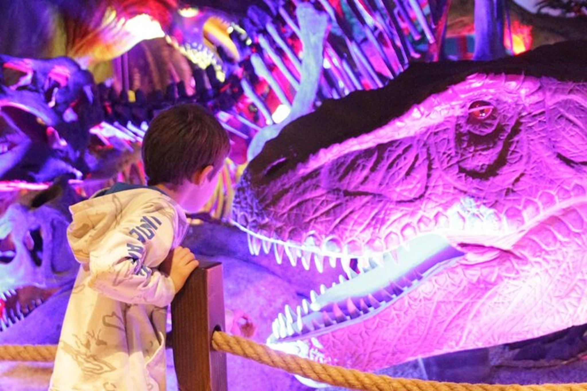 Scottsdale Dinosaur Experience