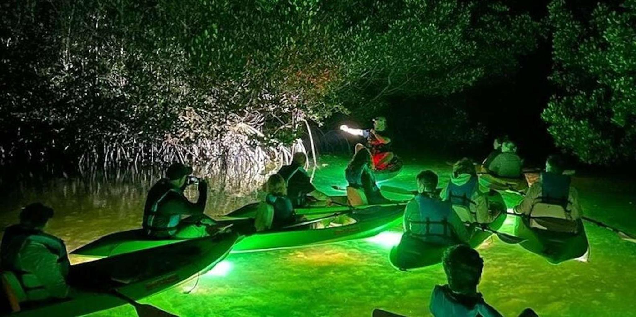 Sarasota Glass Bottom Kayak Night Tour - Image 1