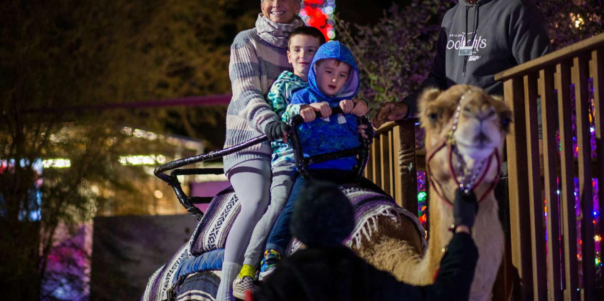 Phoenix ZooLights Entry Ticket - Image 5