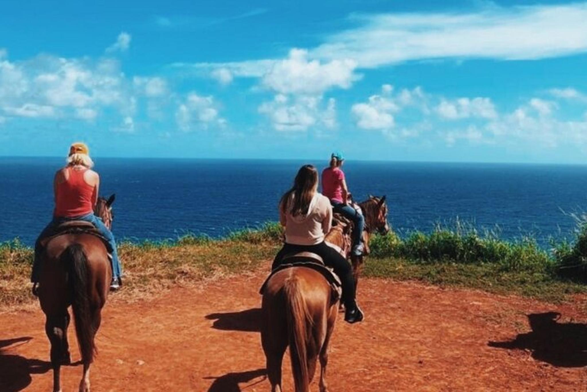 Maui Horseback Adventure at Circle M Ranch - Image 2
