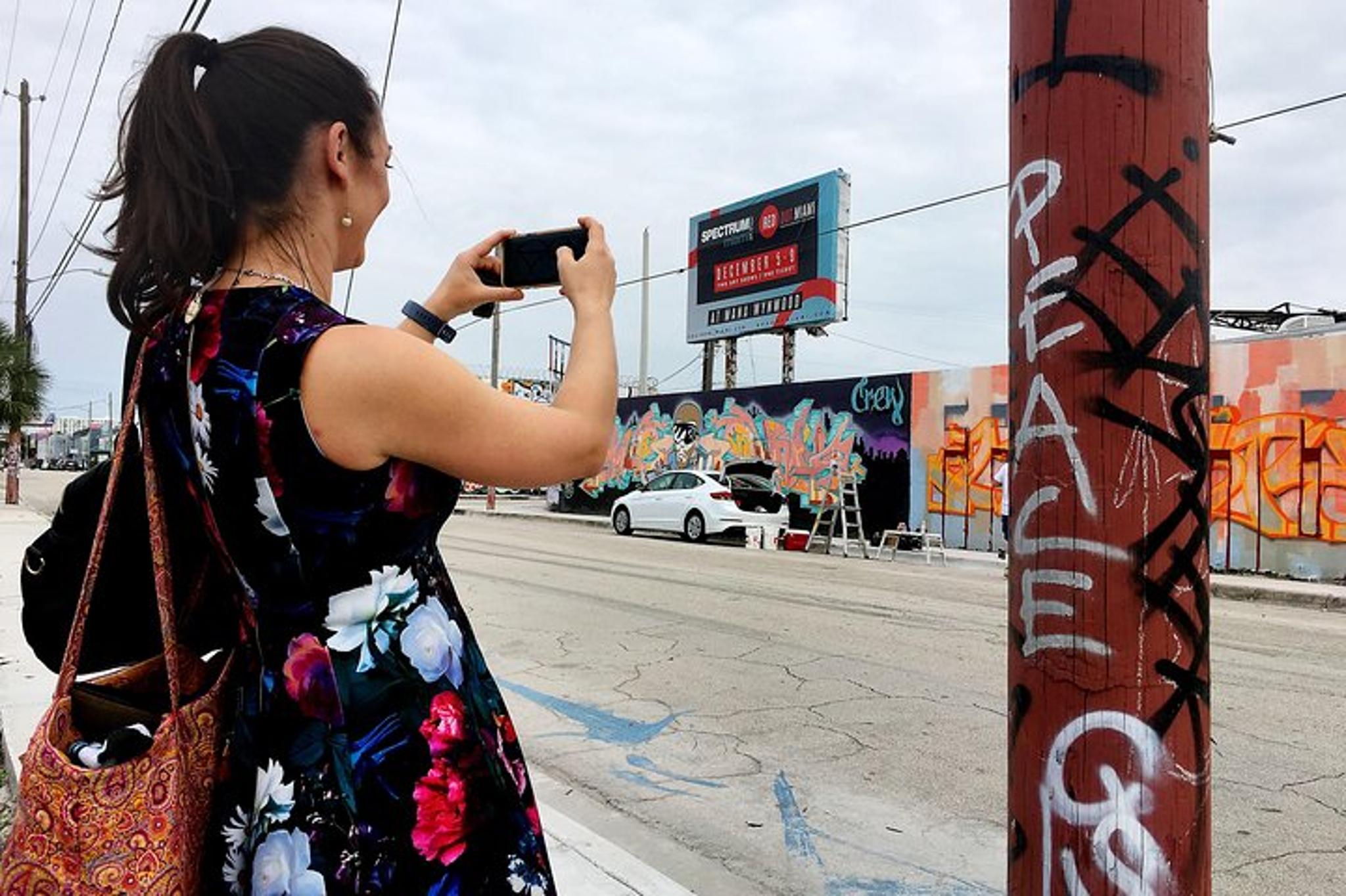 Miami Street Art Tour with Local Artist - Image 3