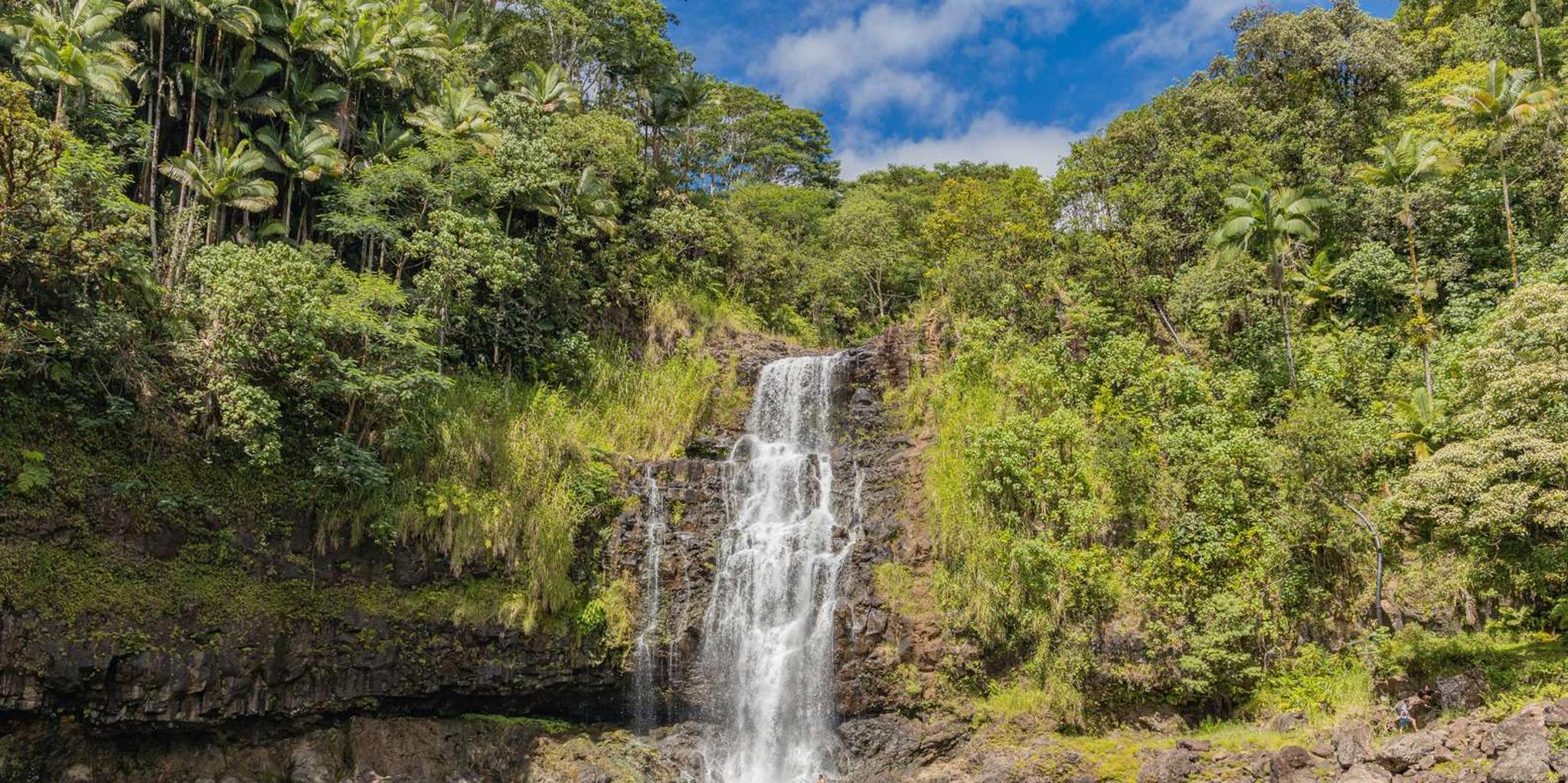 Big Island Waterfalls Tour with Private Access - Image 5