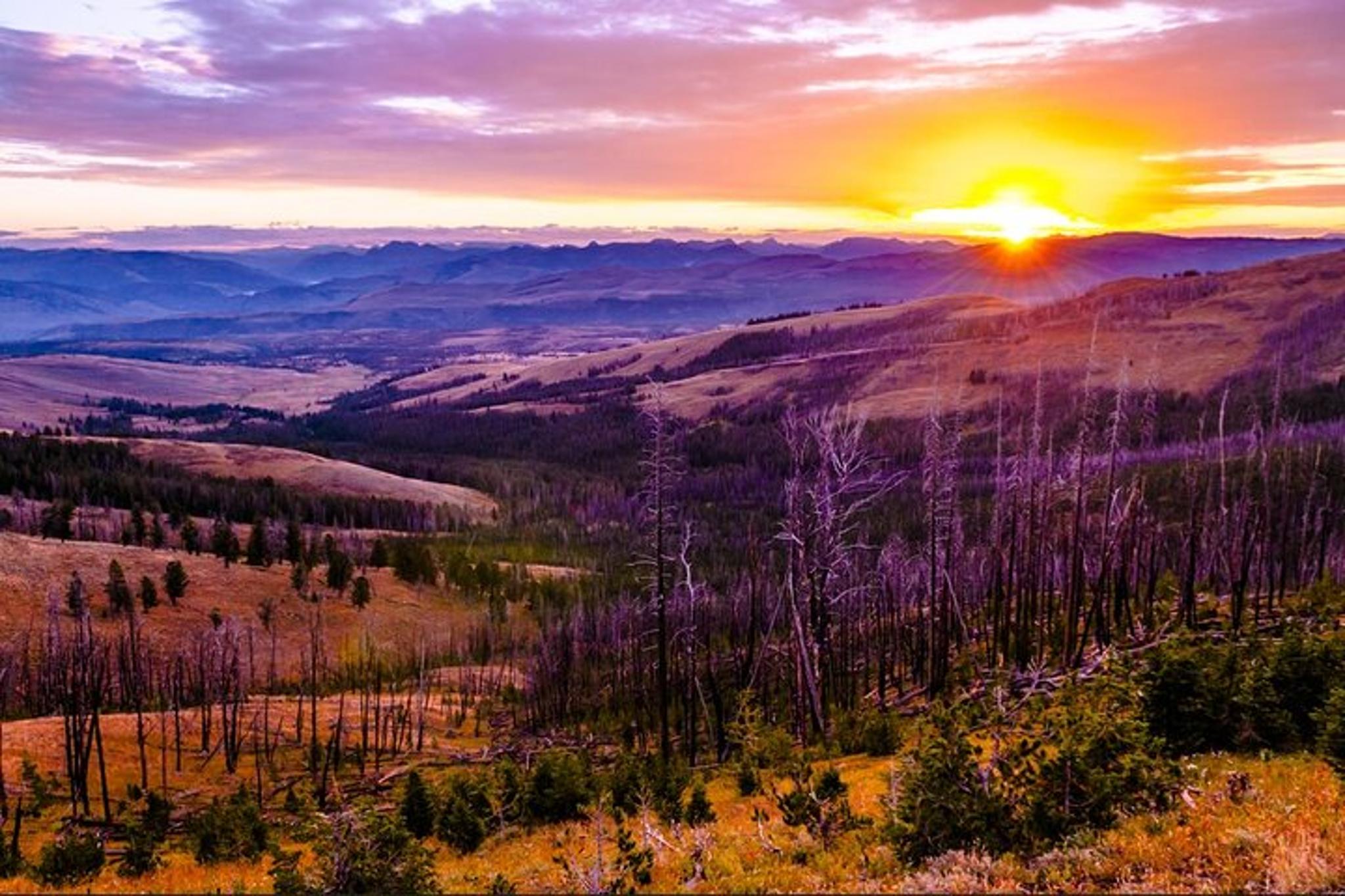 Salt Lake City Yellowstone and Las Vegas 7-Day Tour - Image 6