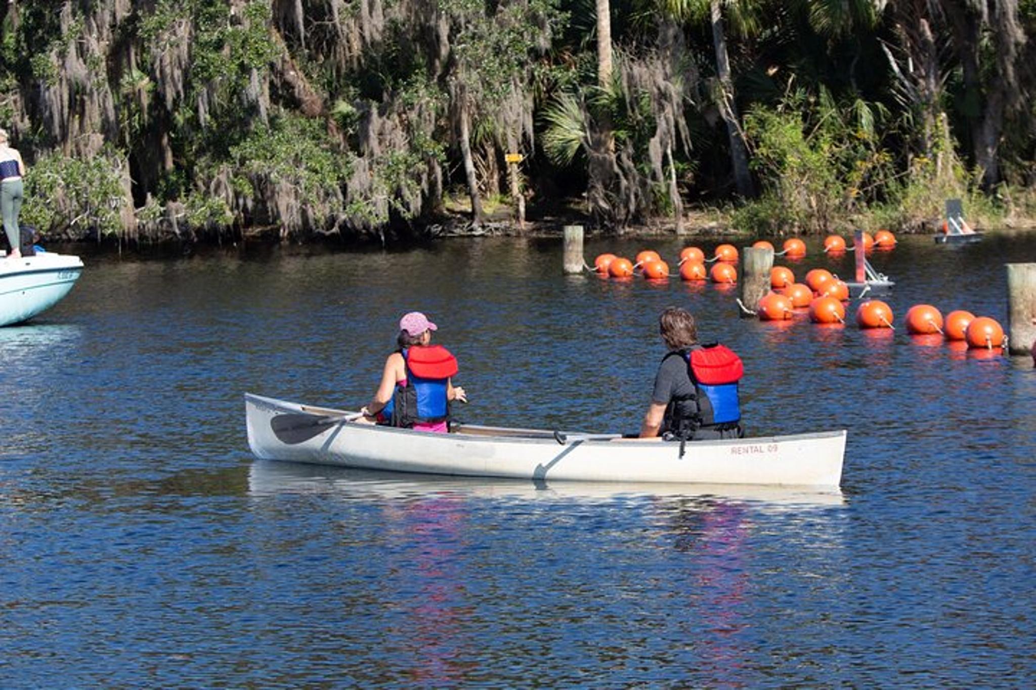 St. Johns River Cruise at Blue Spring State Park - Image 4