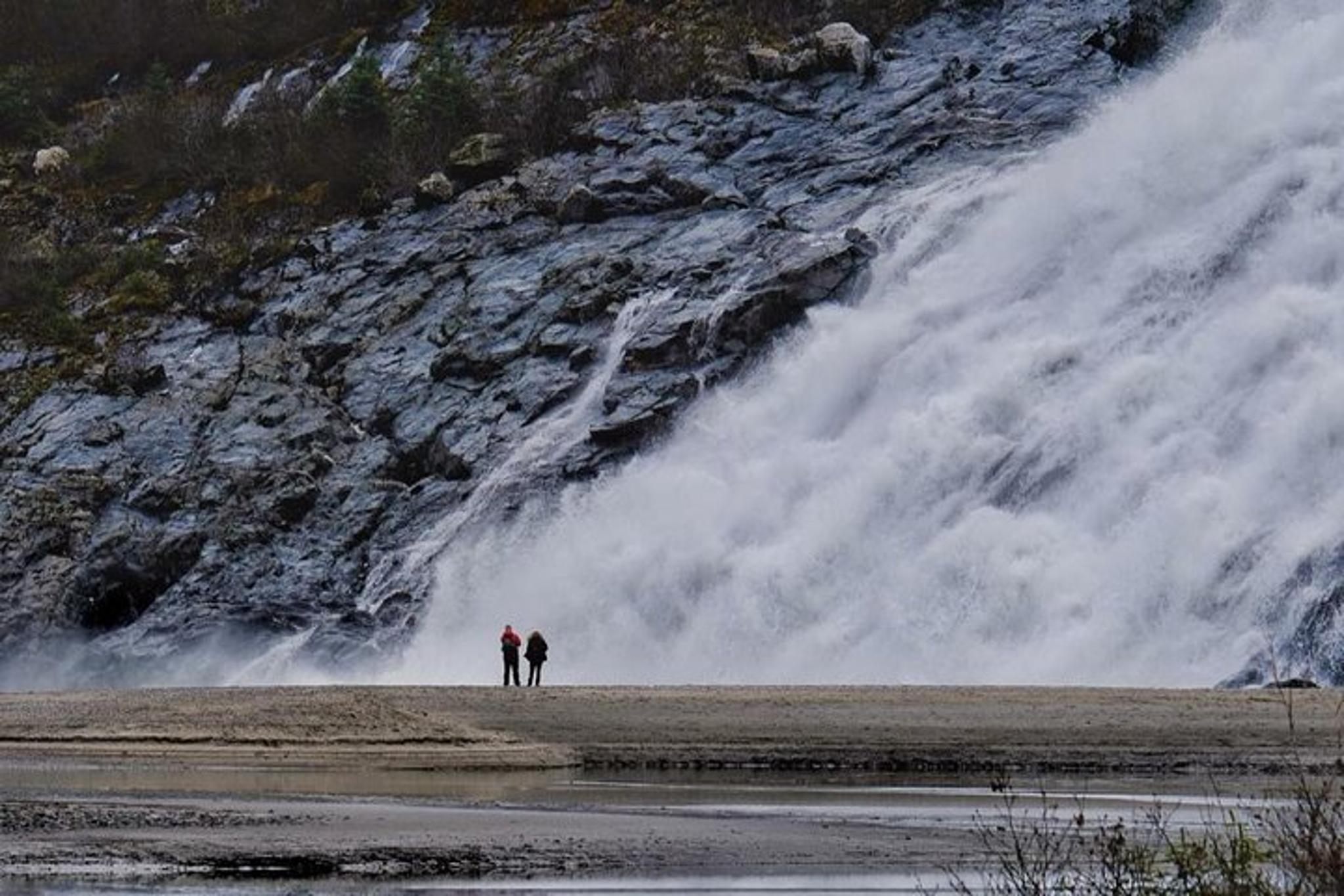 Juneau Mendenhall Glacier Trolley Tour 3 hr - Image 4
