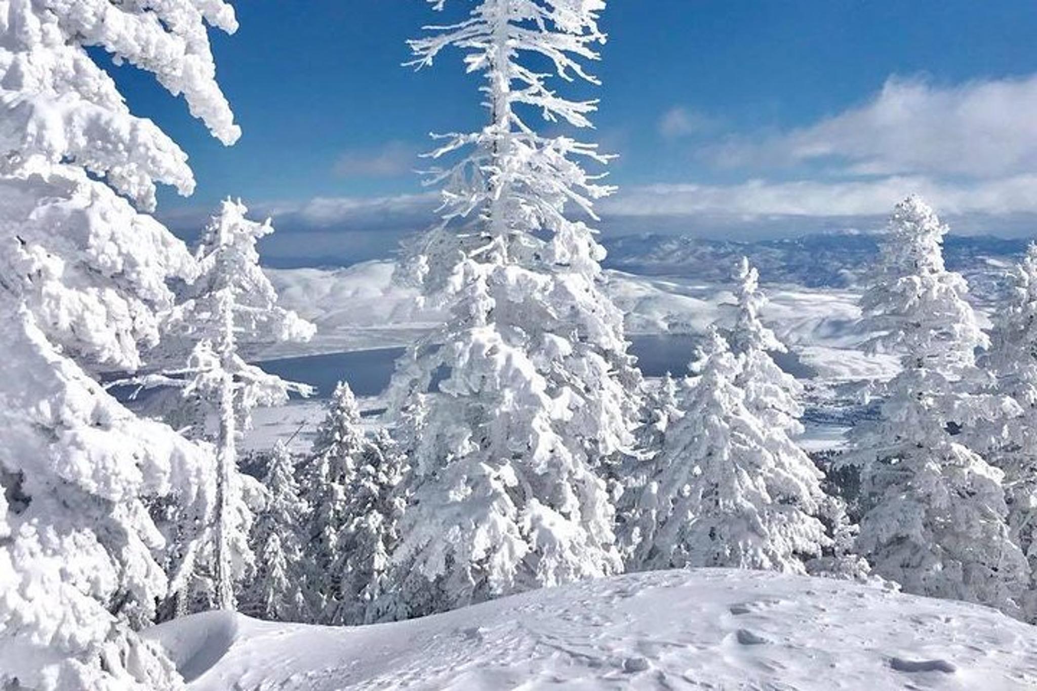 Incline Village Backcountry Ski Tour - Image 2
