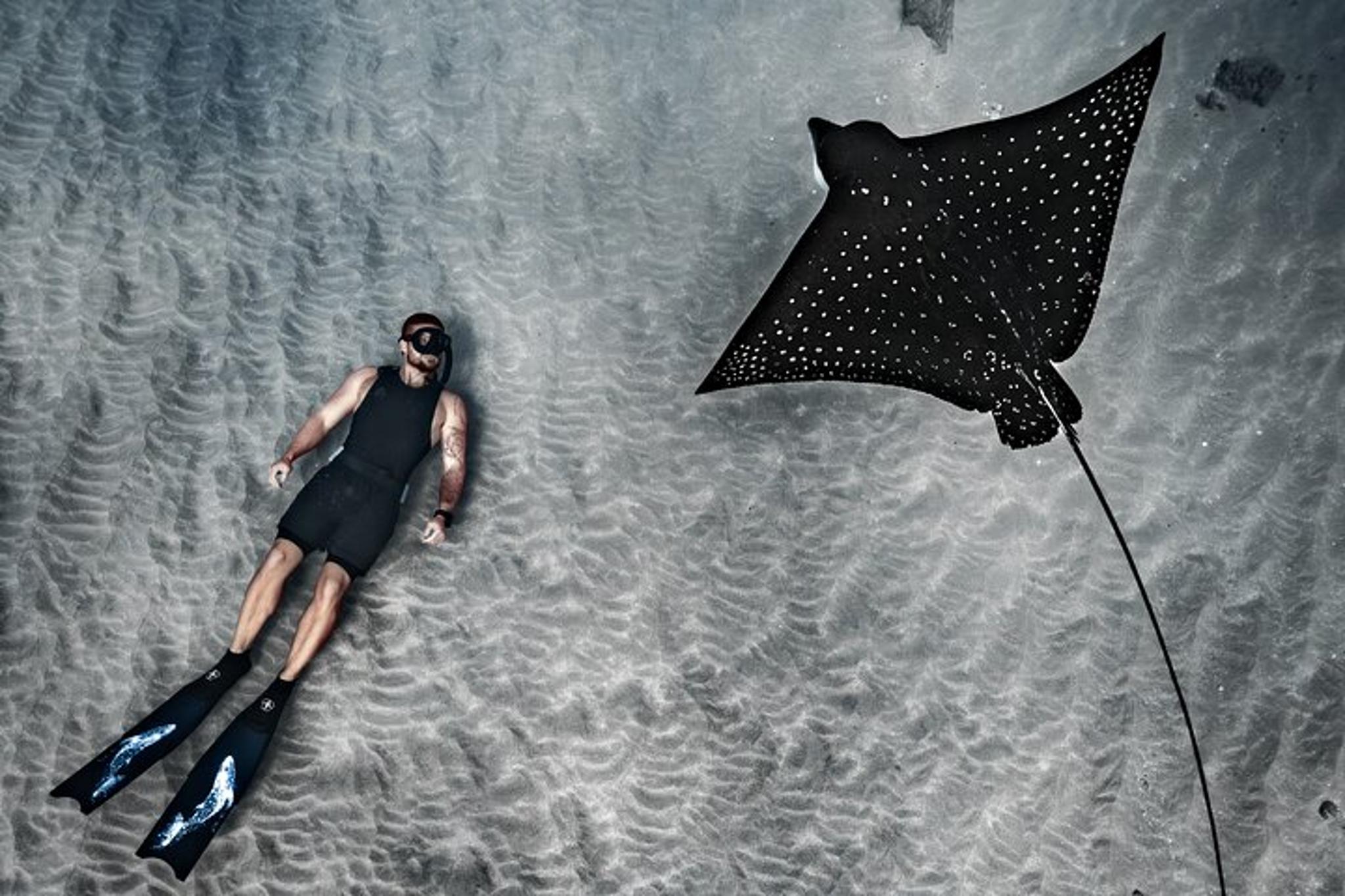 Maui Underwater Photoshoot - Image 6