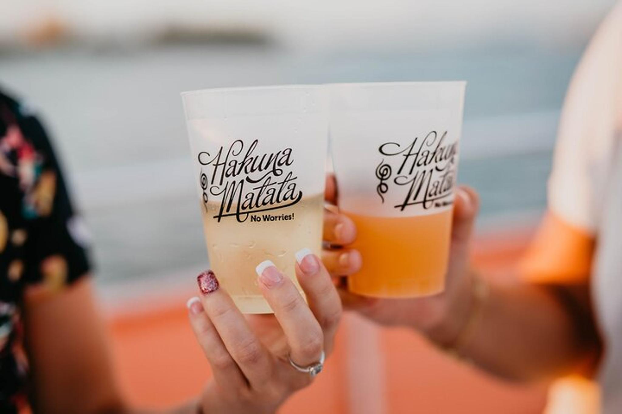West Palm Beach Happy Hour Cruise - Image 3