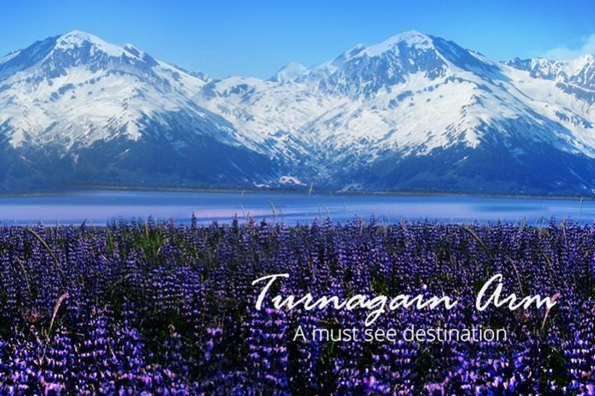 Anchorage Turnagain Arm Tour - Image 2